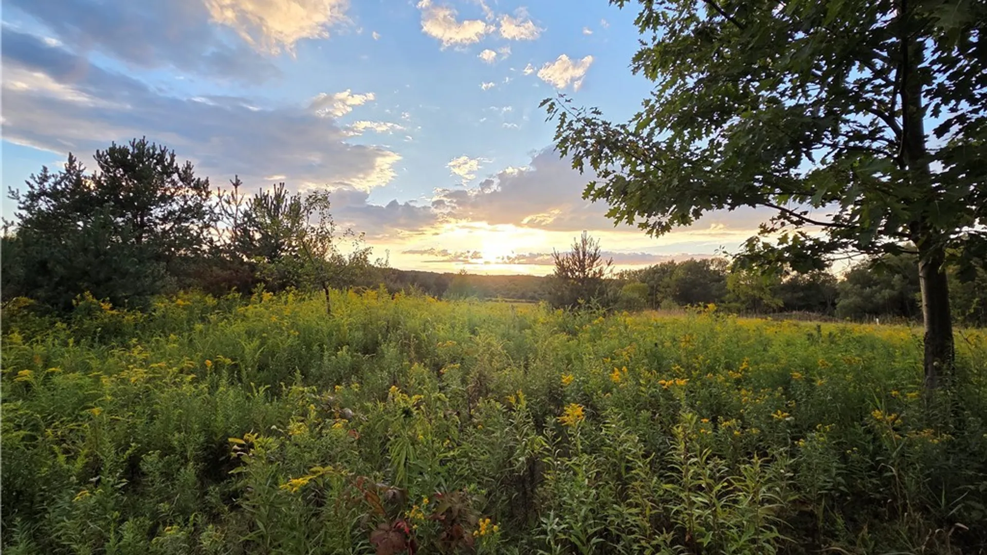 Property at V/L Whitney Road, Holland, NY 14080 5