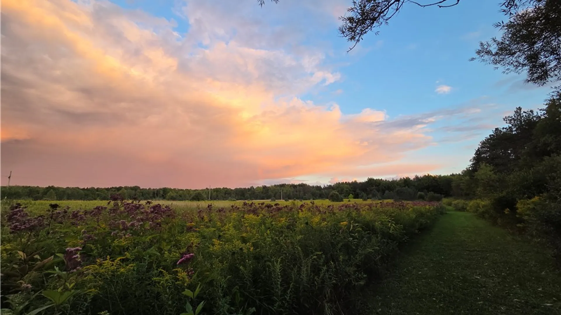 Property at V/L Whitney Road, Holland, NY 14080 6