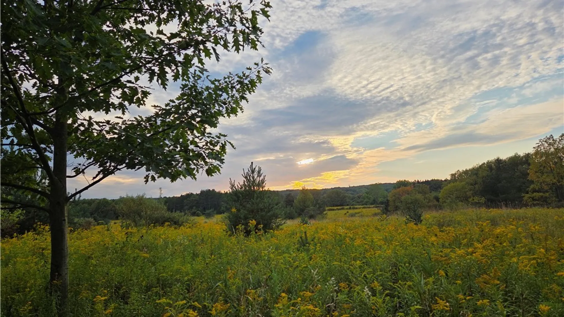 Property at V/L Whitney Road, Holland, NY 14080 7