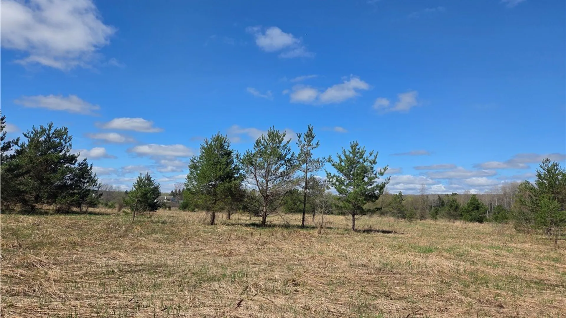 Property at V/L Whitney Road, Holland, NY 14080 8