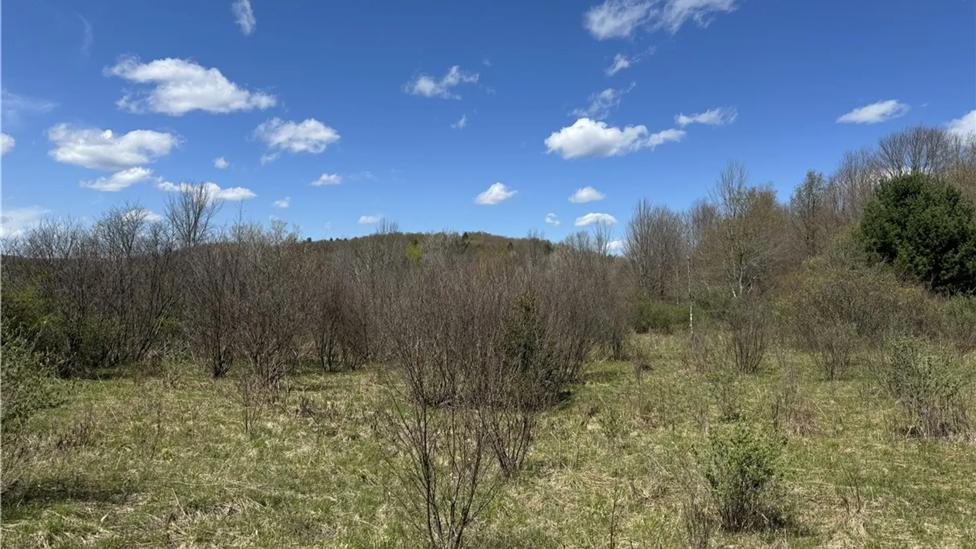 Property at ID# 47.-2-6 Bingham Collins Road, Columbus, NY 13460 2