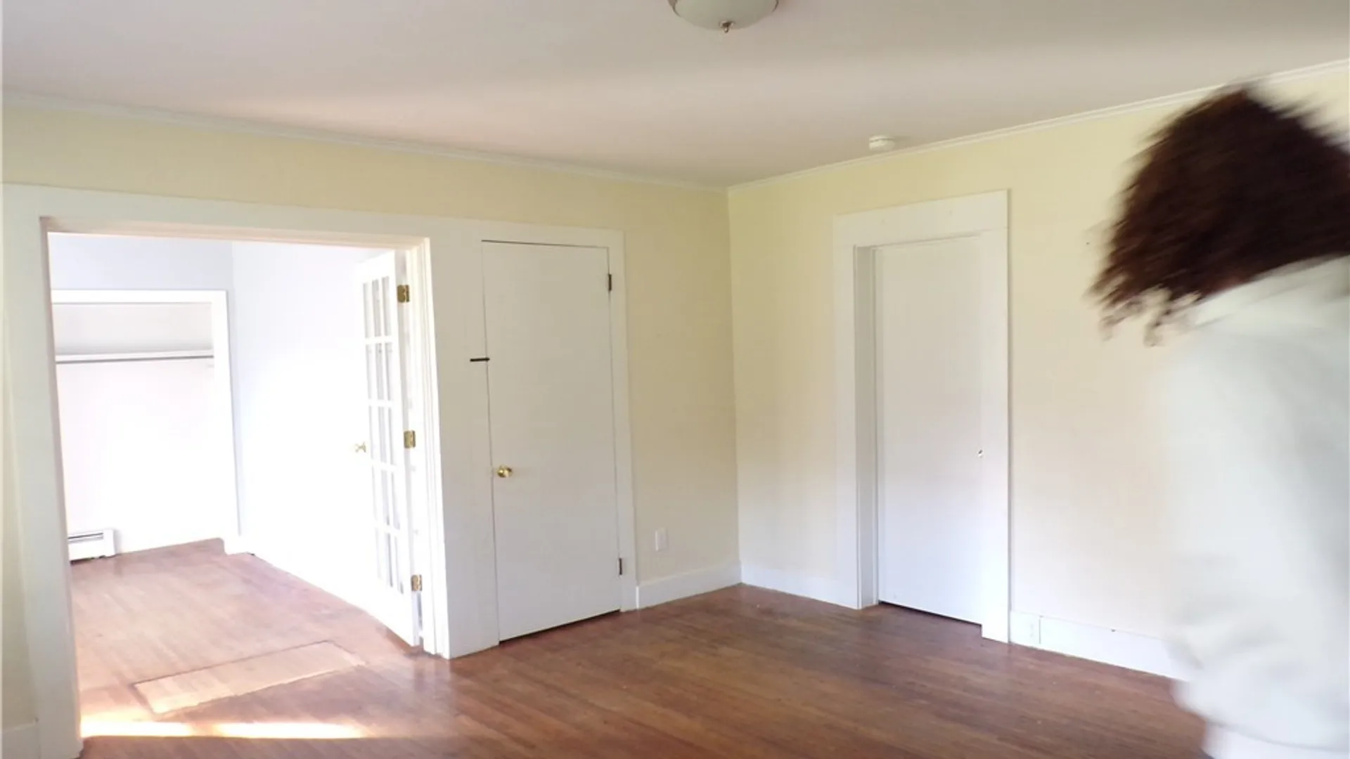 Property at 964 Portville Olean Road, Portville, NY 14770 14