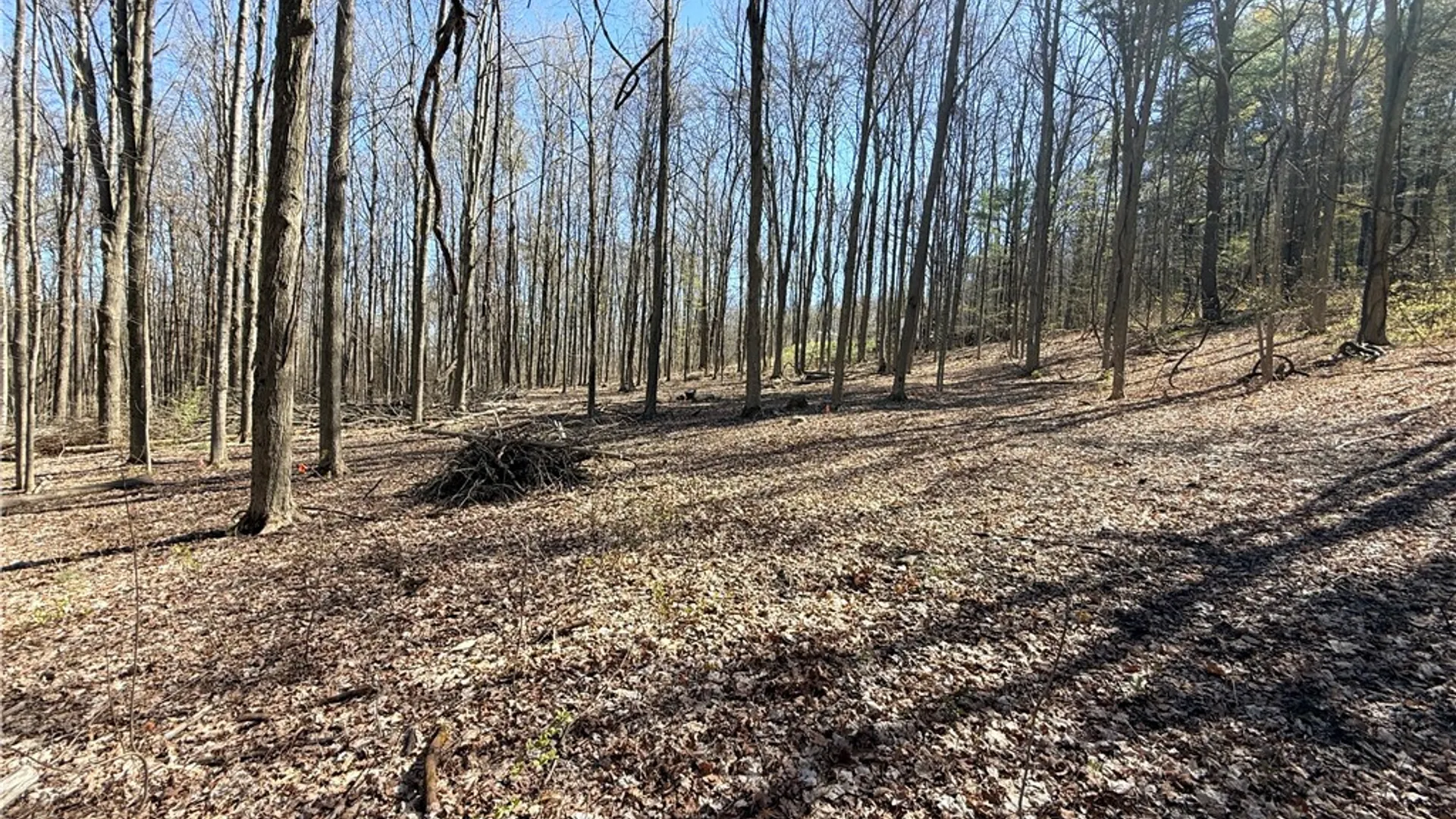 Property at Fitzgerald Road, Hector, NY 14818 2
