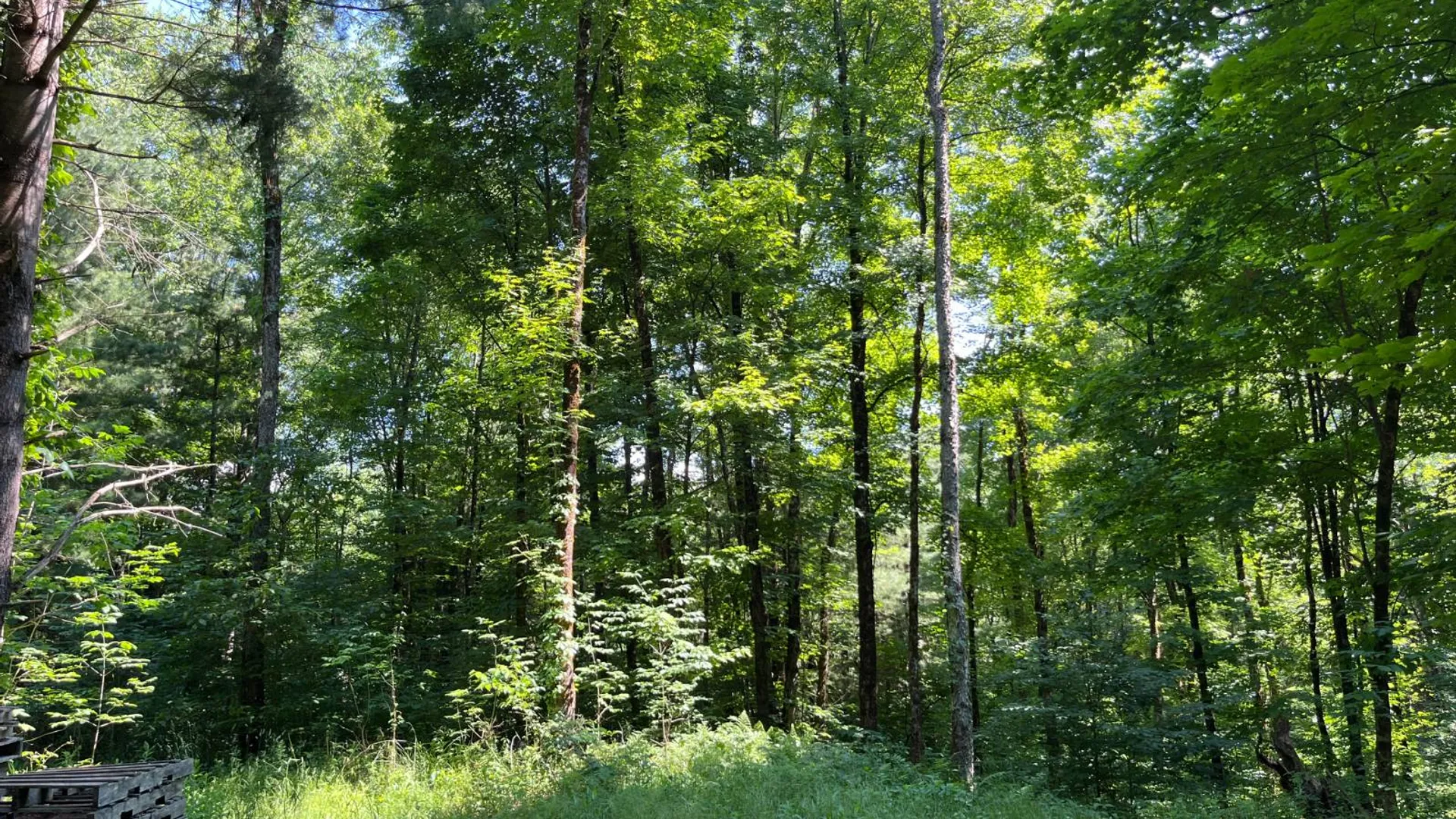 Property at 357 Cable Rd, Williamstown, NY 13493 19