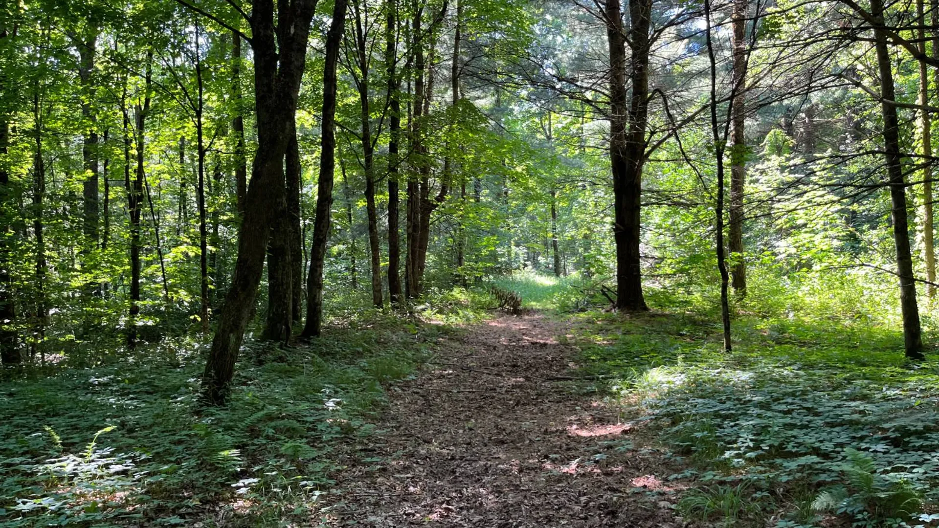 Property at 357 Cable Rd, Williamstown, NY 13493 20