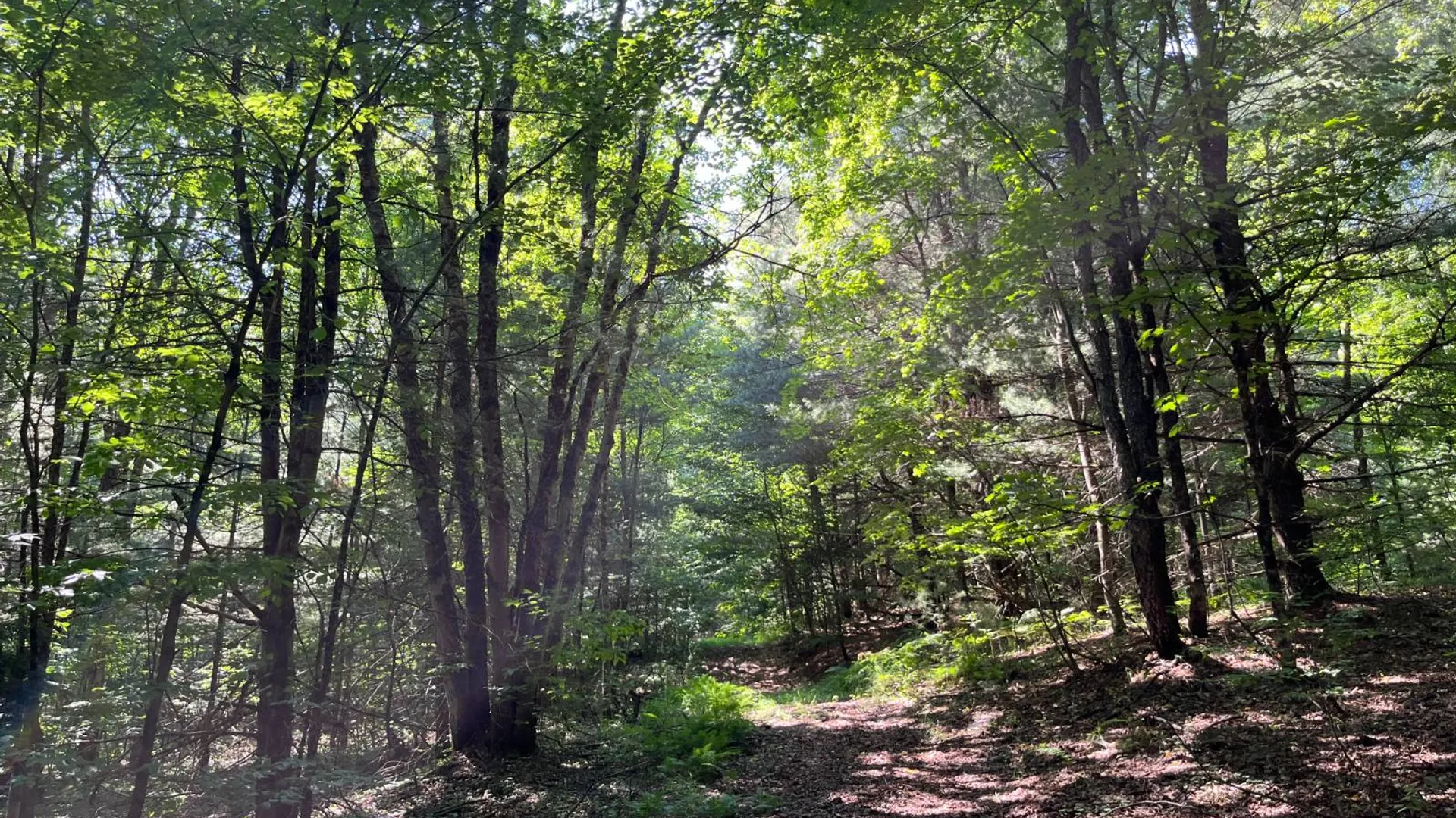 Property at 357 Cable Rd, Williamstown, NY 13493 22