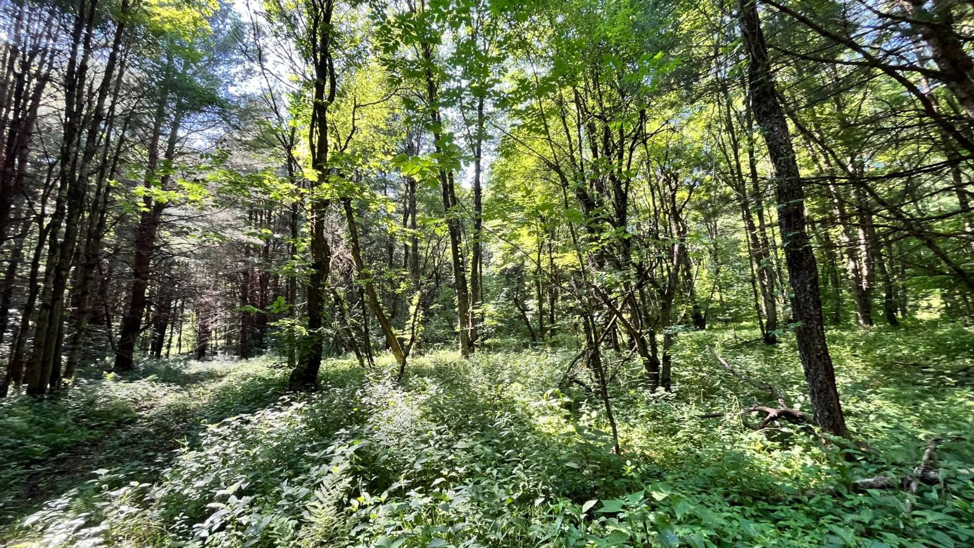 Property at 357 Cable Rd, Williamstown, NY 13493 24