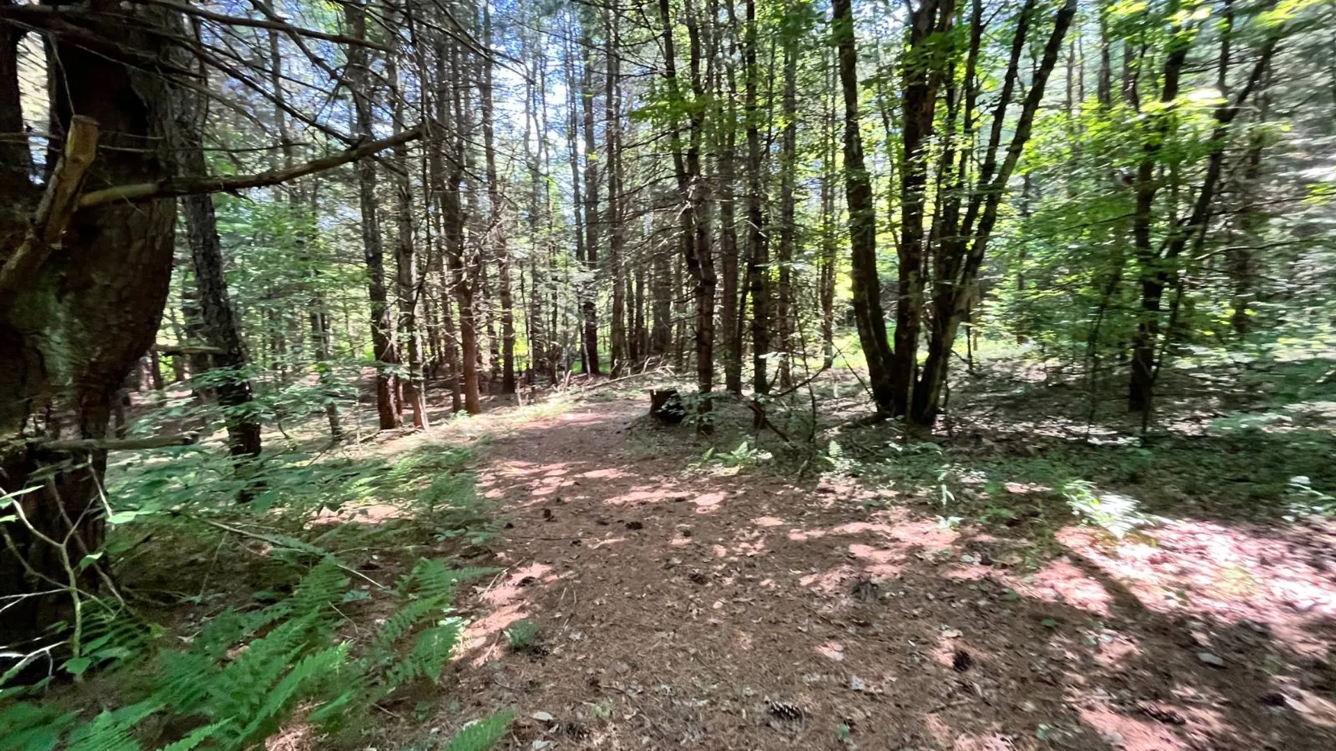 Property at 357 Cable Rd, Williamstown, NY 13493 25