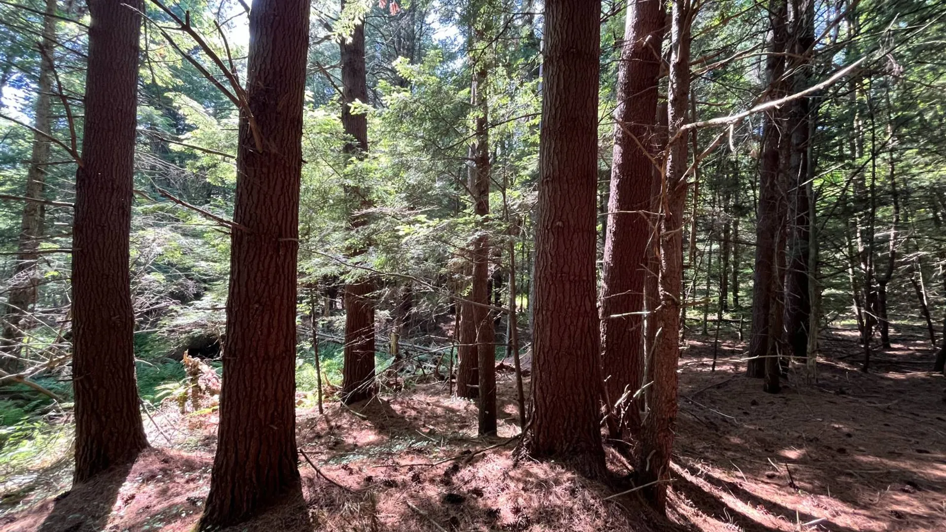 Property at 357 Cable Rd, Williamstown, NY 13493 30