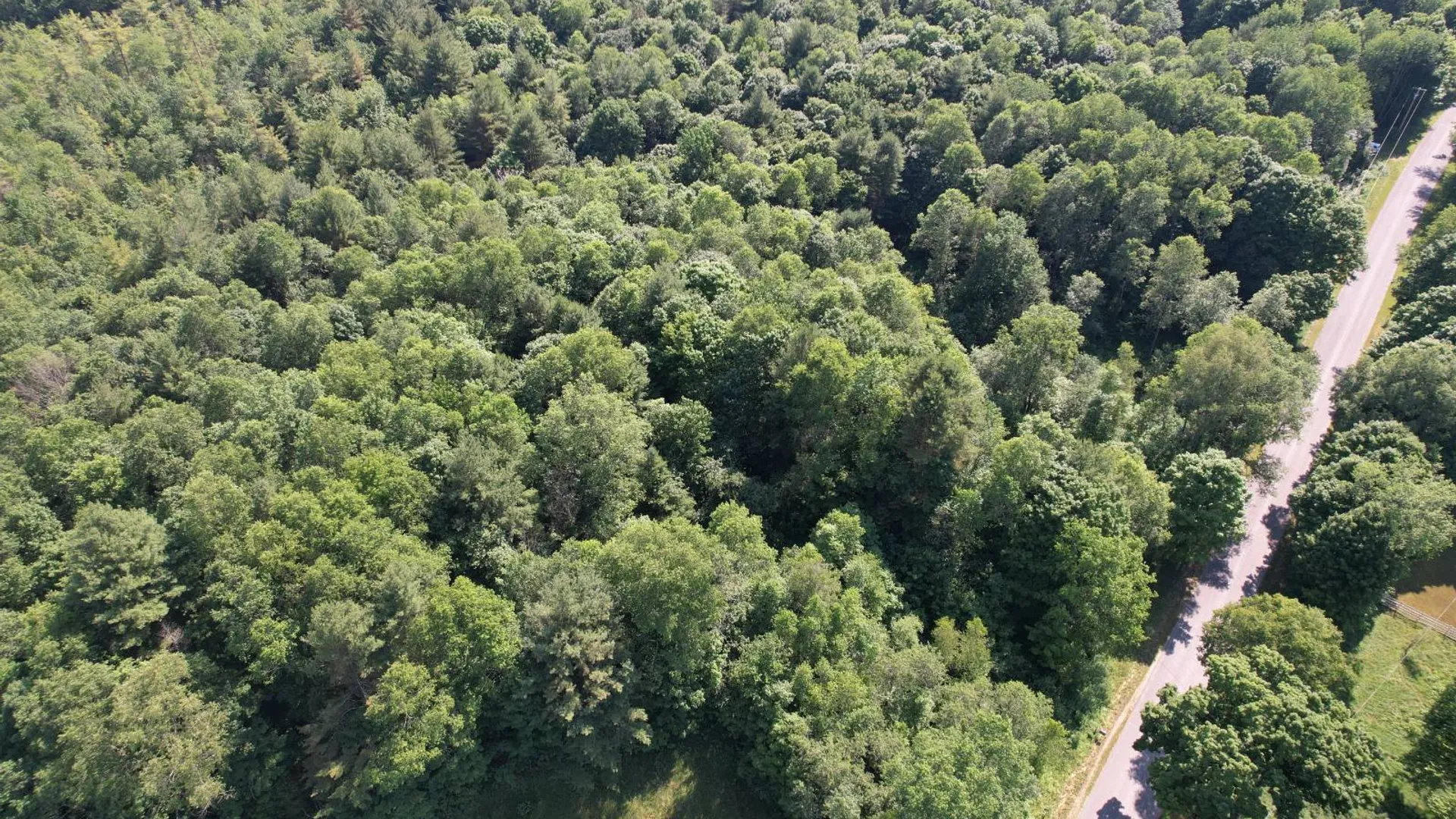 Property at 357 Cable Rd, Williamstown, NY 13493 37