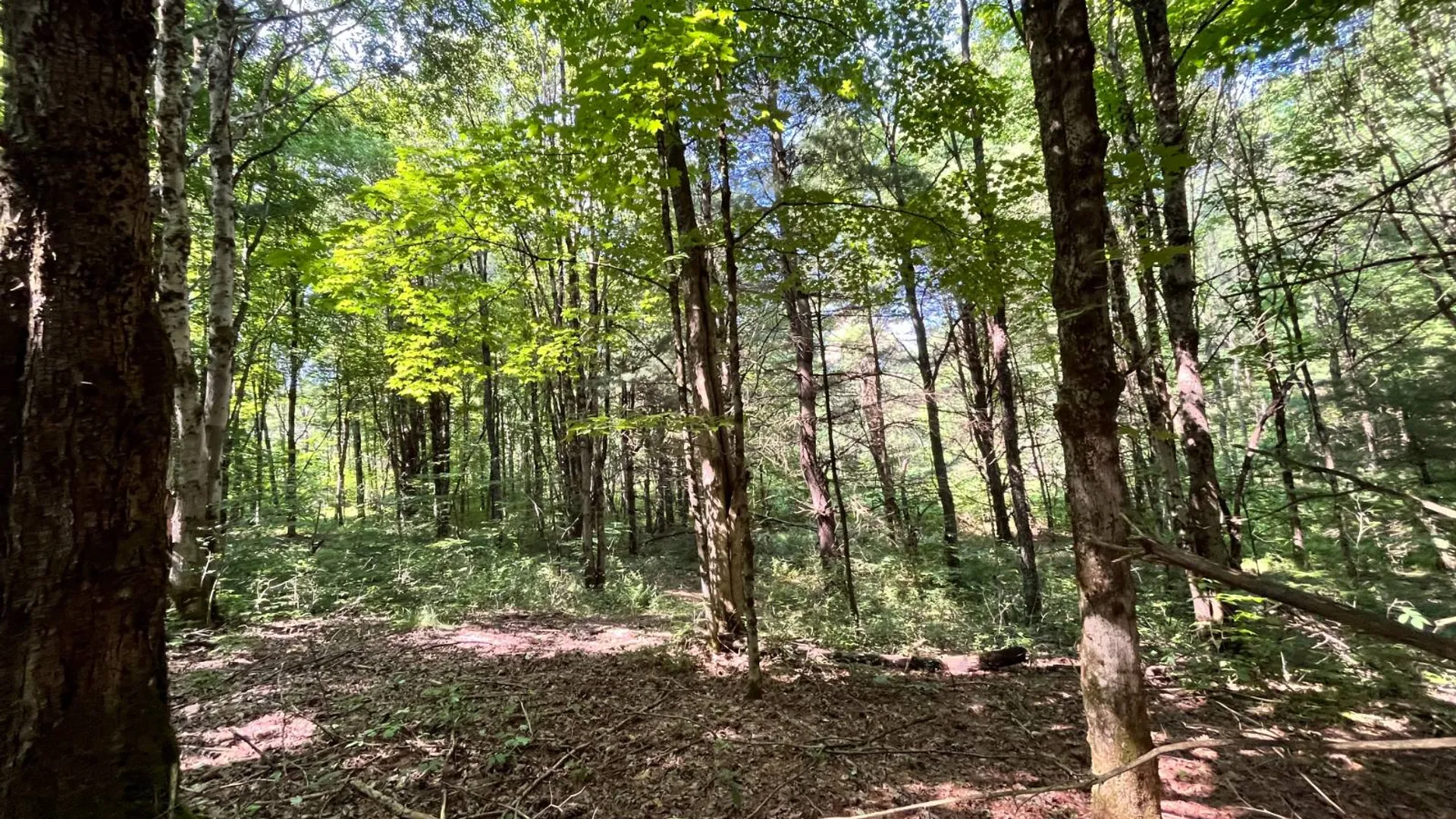 Property at 357 Cable Rd, Williamstown, NY 13493 46