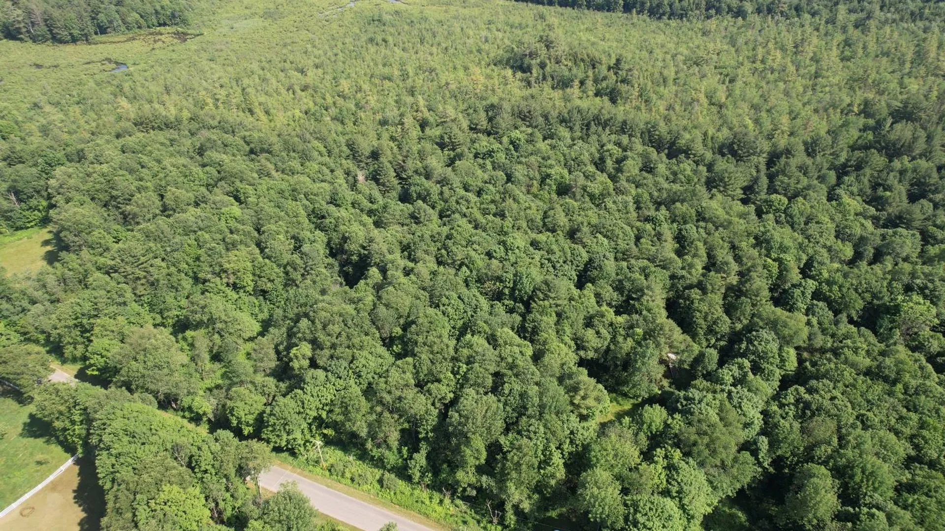 Property at 357 Cable Rd, Williamstown, NY 13493 48