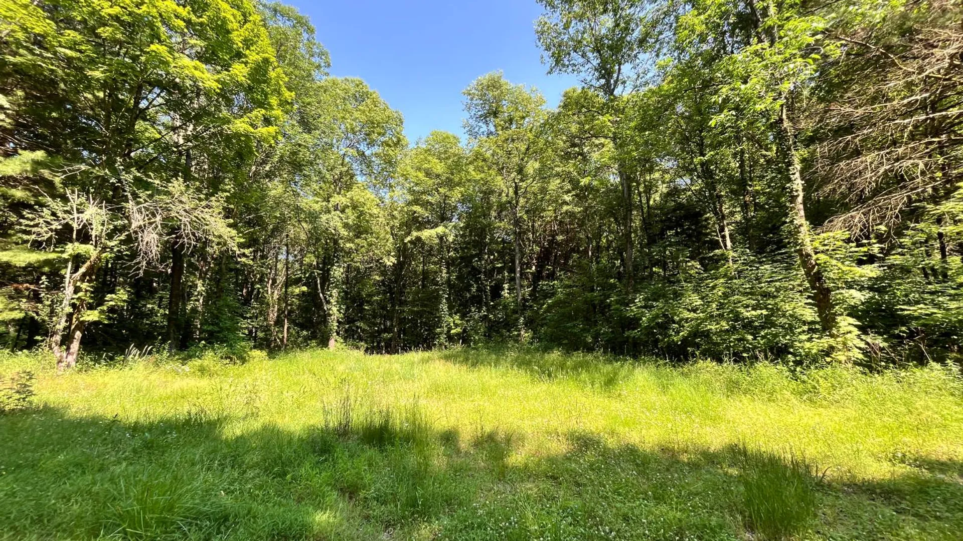 Property at 357 Cable Rd, Williamstown, NY 13493 53