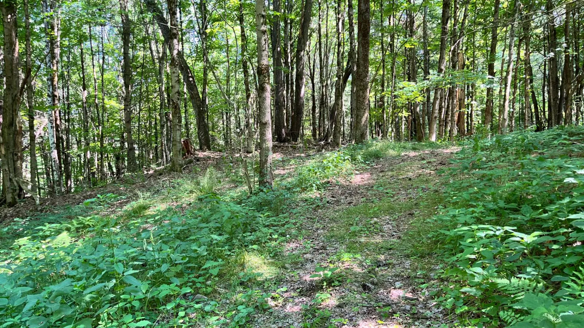 Property at 357 Cable Rd, Williamstown, NY 13493 55