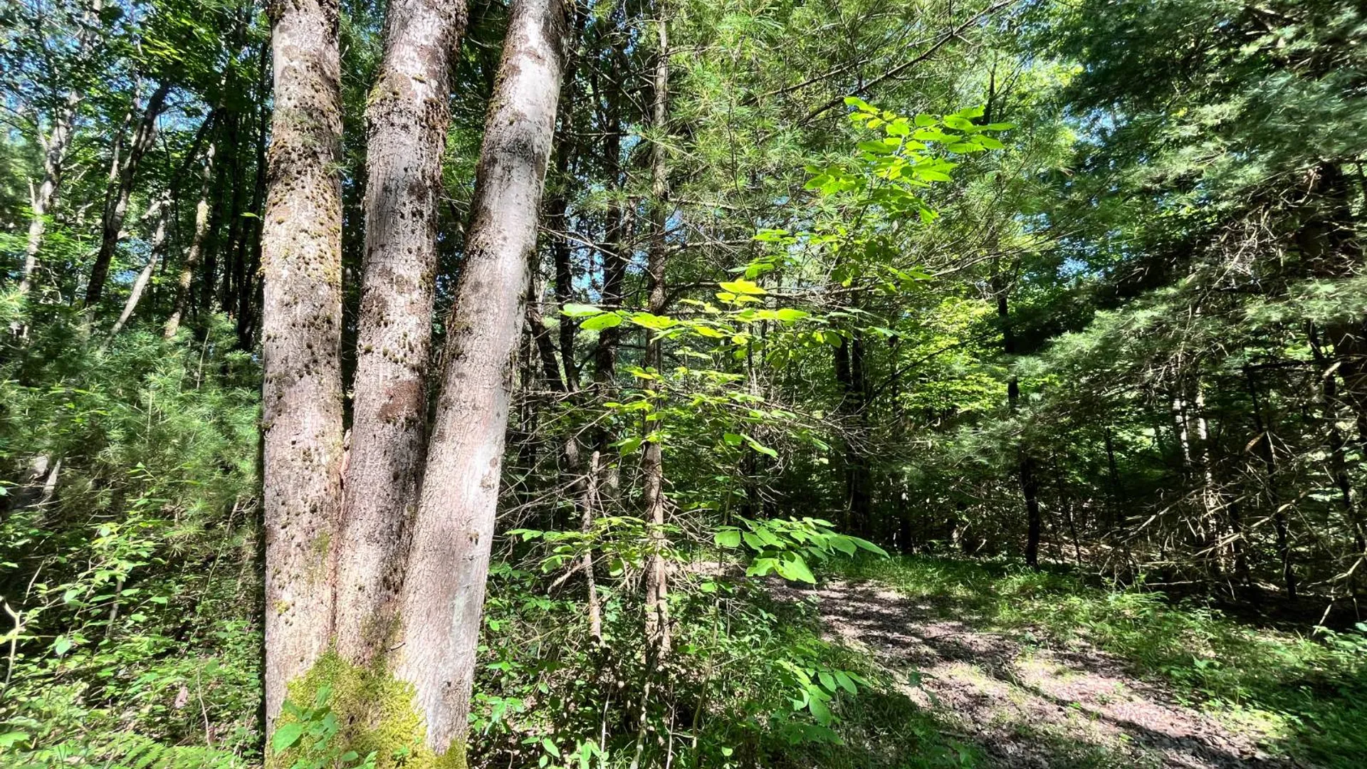 Property at 357 Cable Rd, Williamstown, NY 13493 56