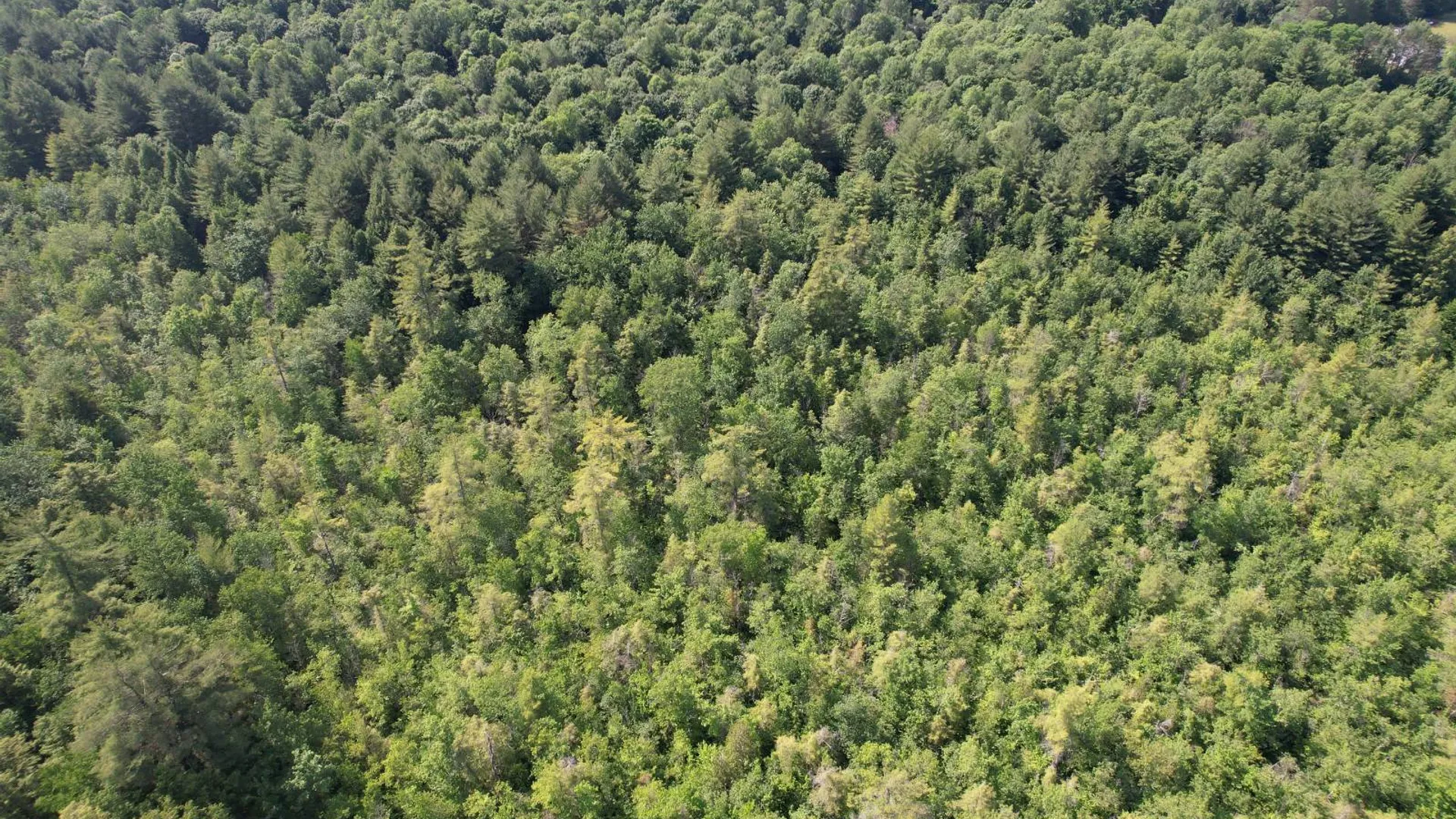 Property at 357 Cable Rd, Williamstown, NY 13493 62