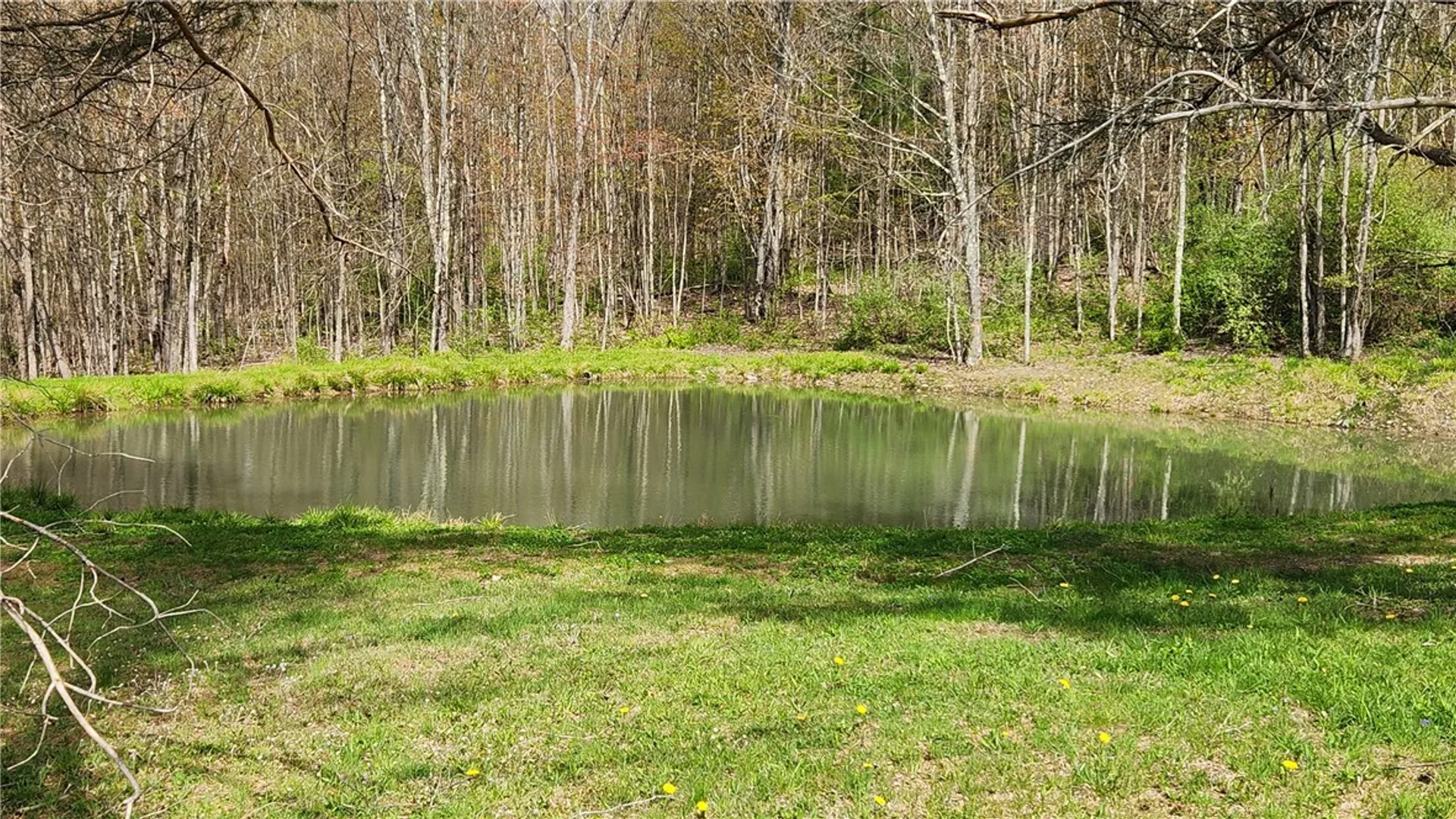 Property at 185 Lawrence, Newark Valley, NY 13811 11