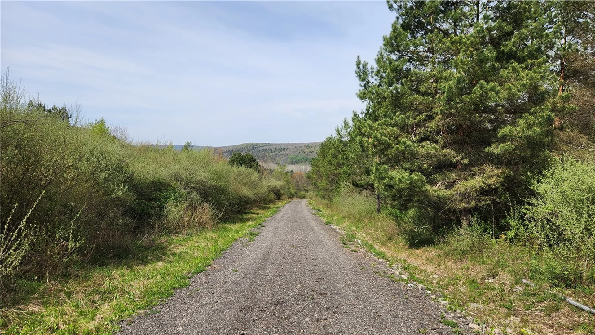 Property at 185 Lawrence, Newark Valley, NY 13811 13