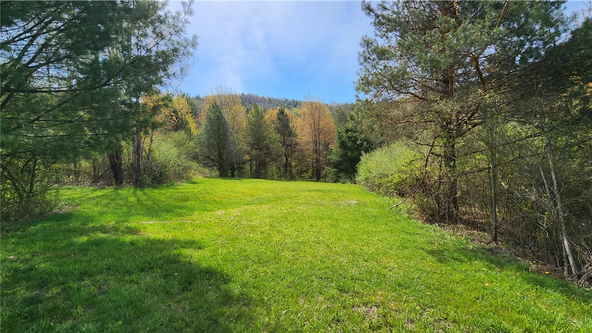 Property at 185 Lawrence, Newark Valley, NY 13811 14