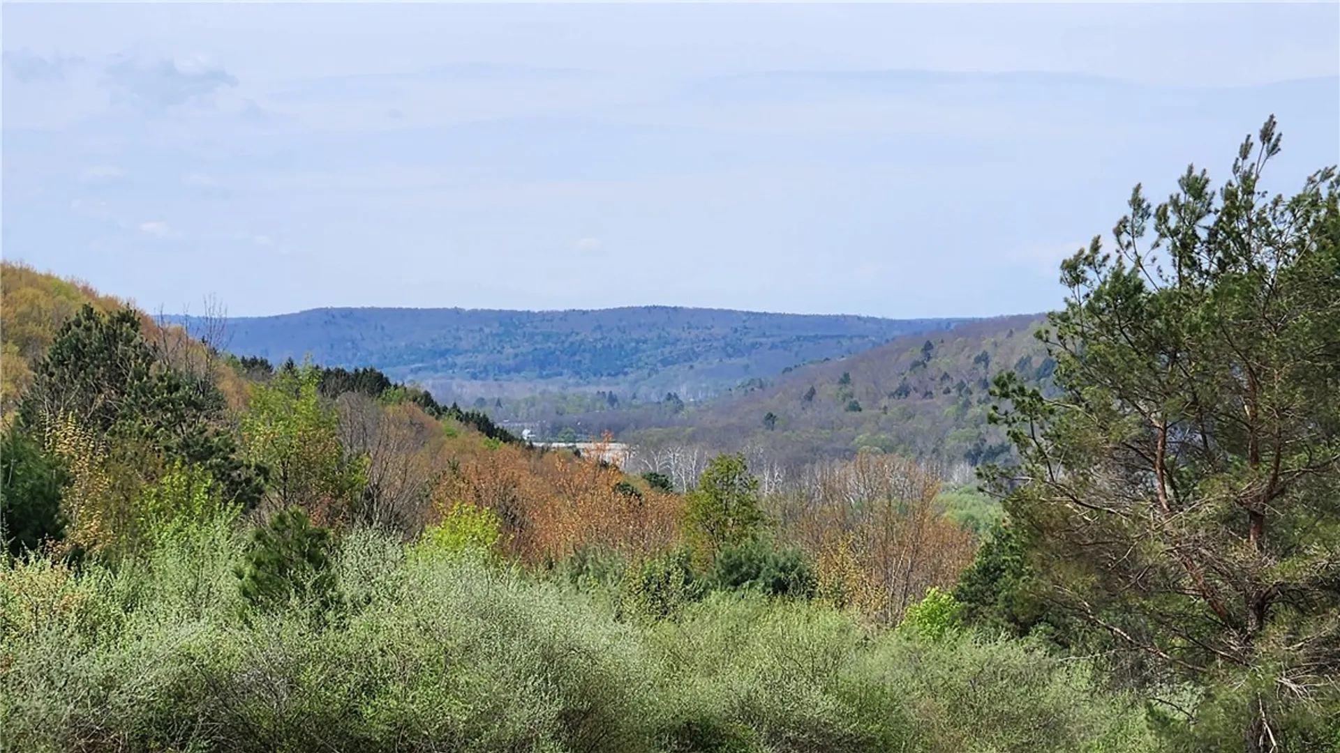 Property at 185 Lawrence, Newark Valley, NY 13811 29