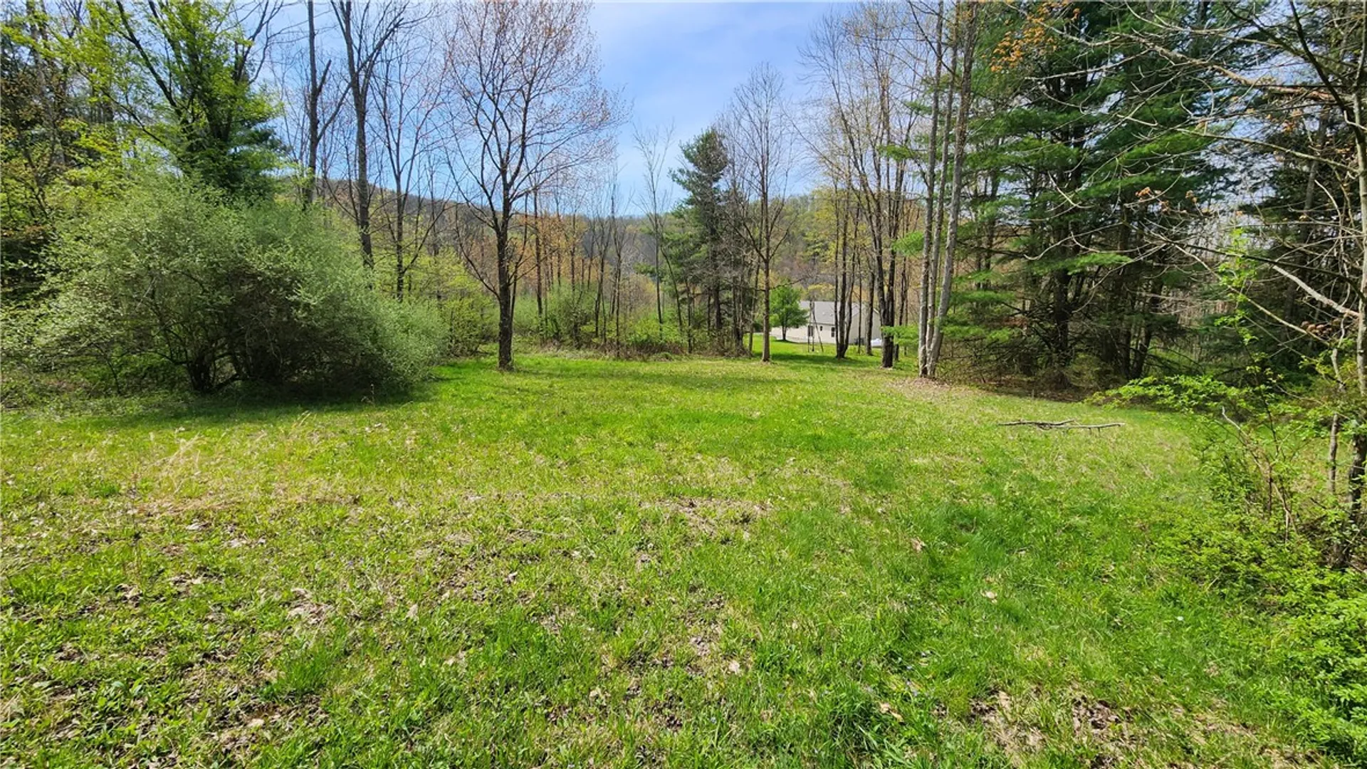 Property at 185 Lawrence, Newark Valley, NY 13811 32