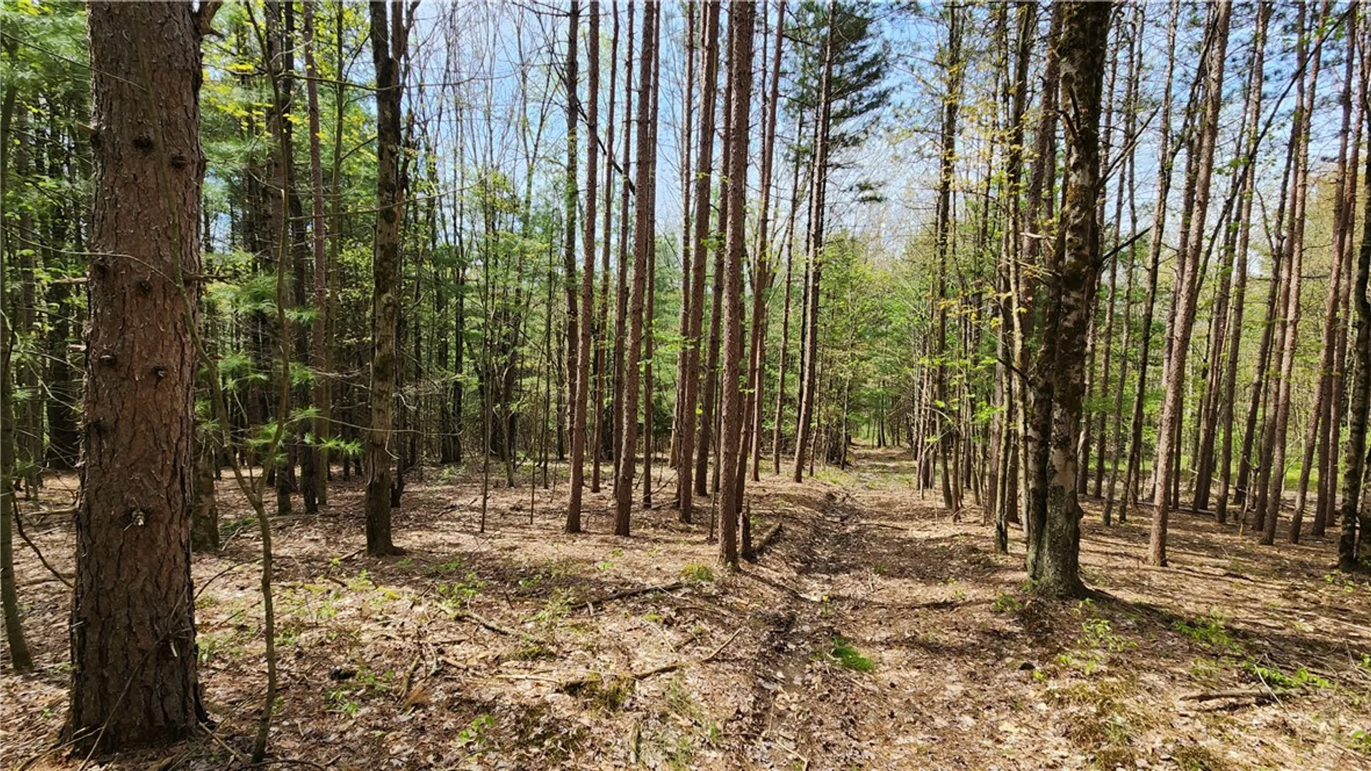 Property at 185 Lawrence, Newark Valley, NY 13811 34