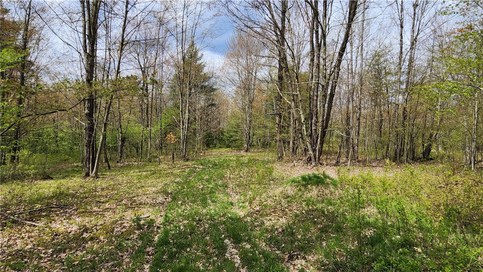 Property at 185 Lawrence, Newark Valley, NY 13811 40