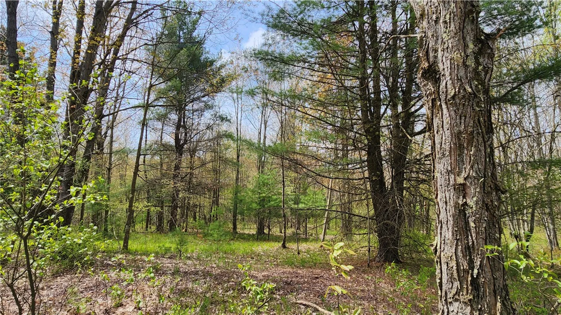 Property at 185 Lawrence, Newark Valley, NY 13811 41