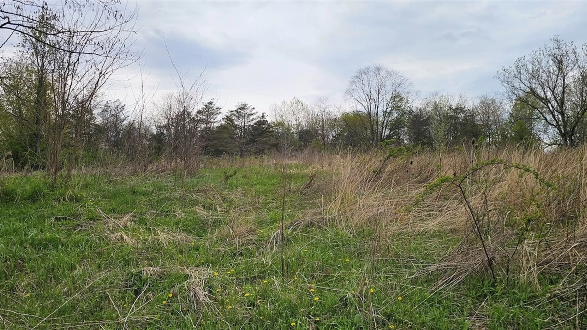 Property at Hancock Drive, Horseheads, NY 14845 13