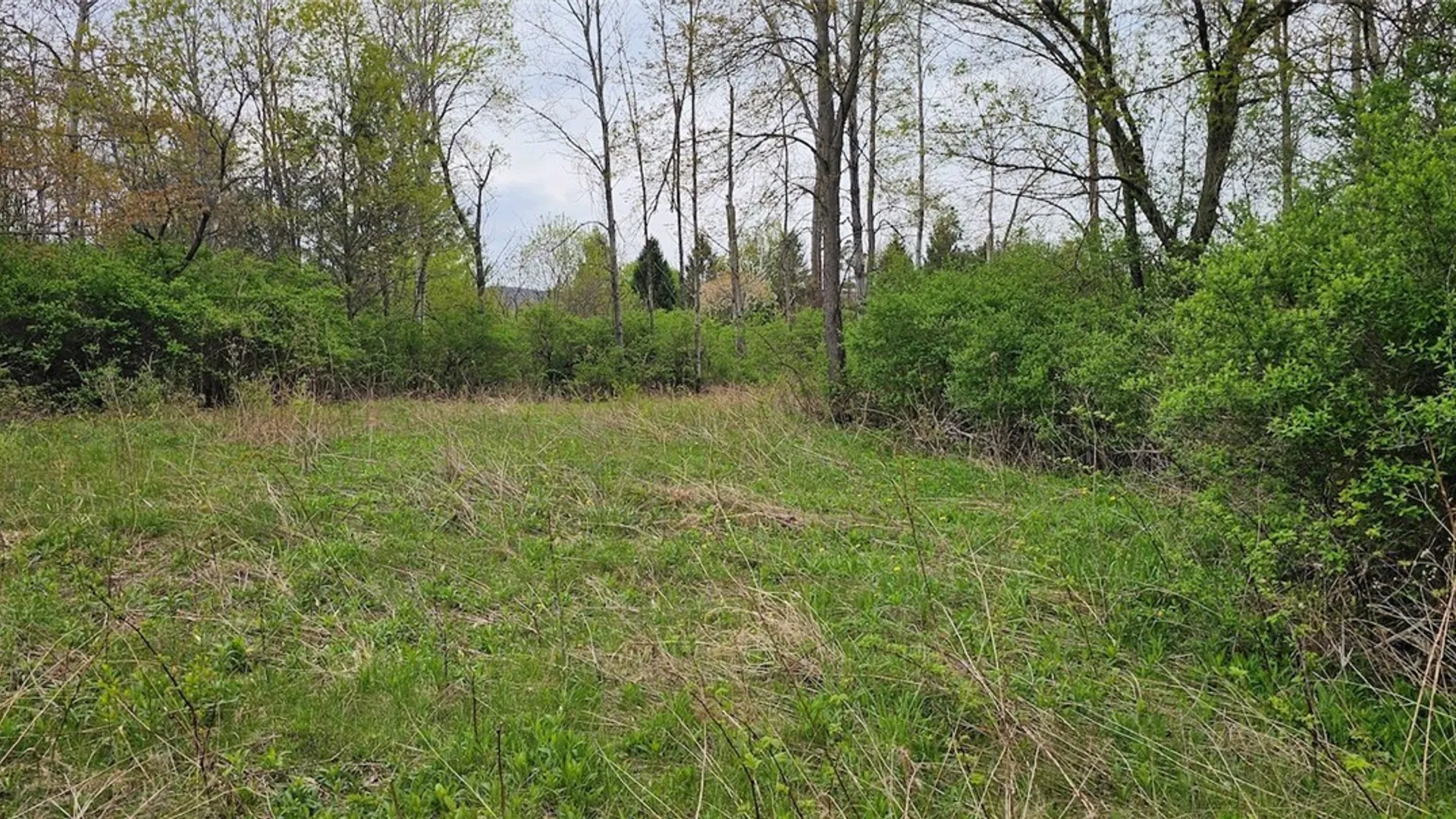Property at Hancock Drive, Horseheads, NY 14845 14