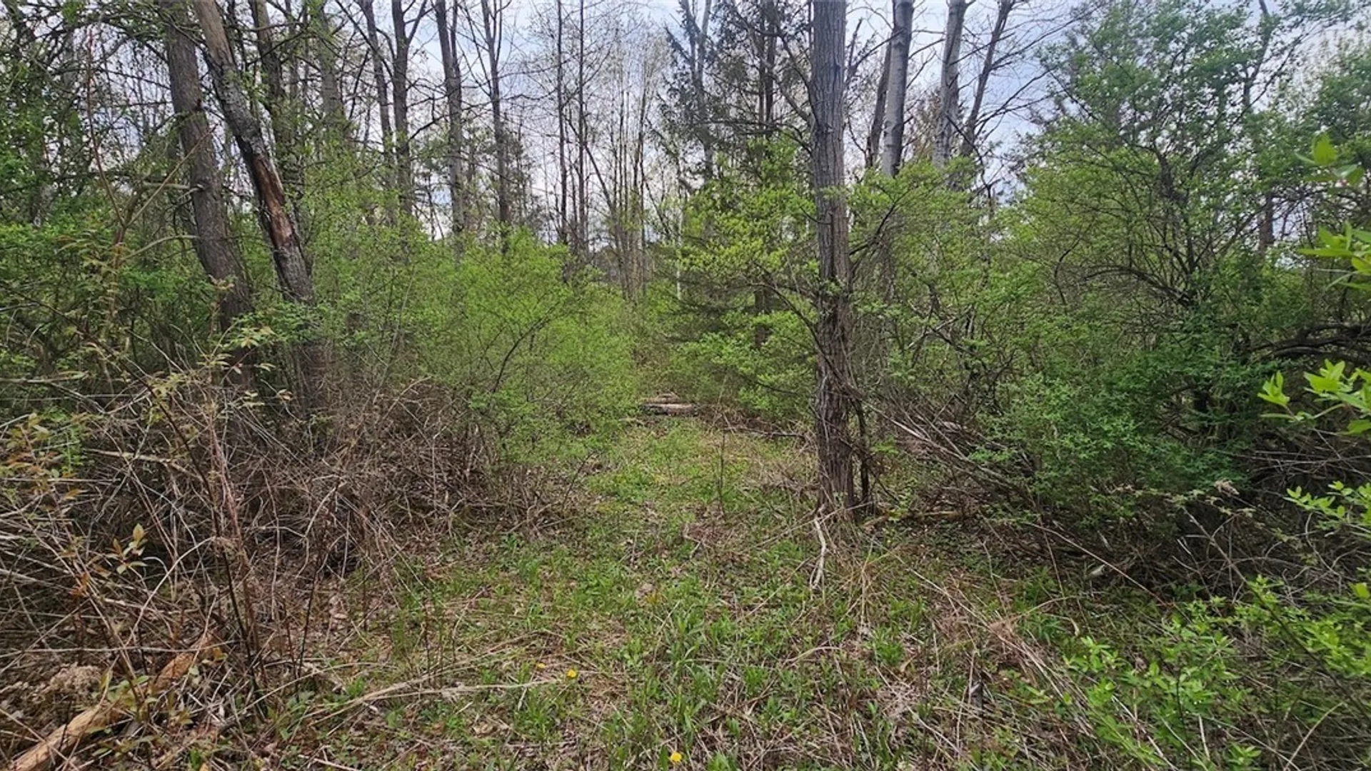 Property at Hancock Drive, Horseheads, NY 14845 18