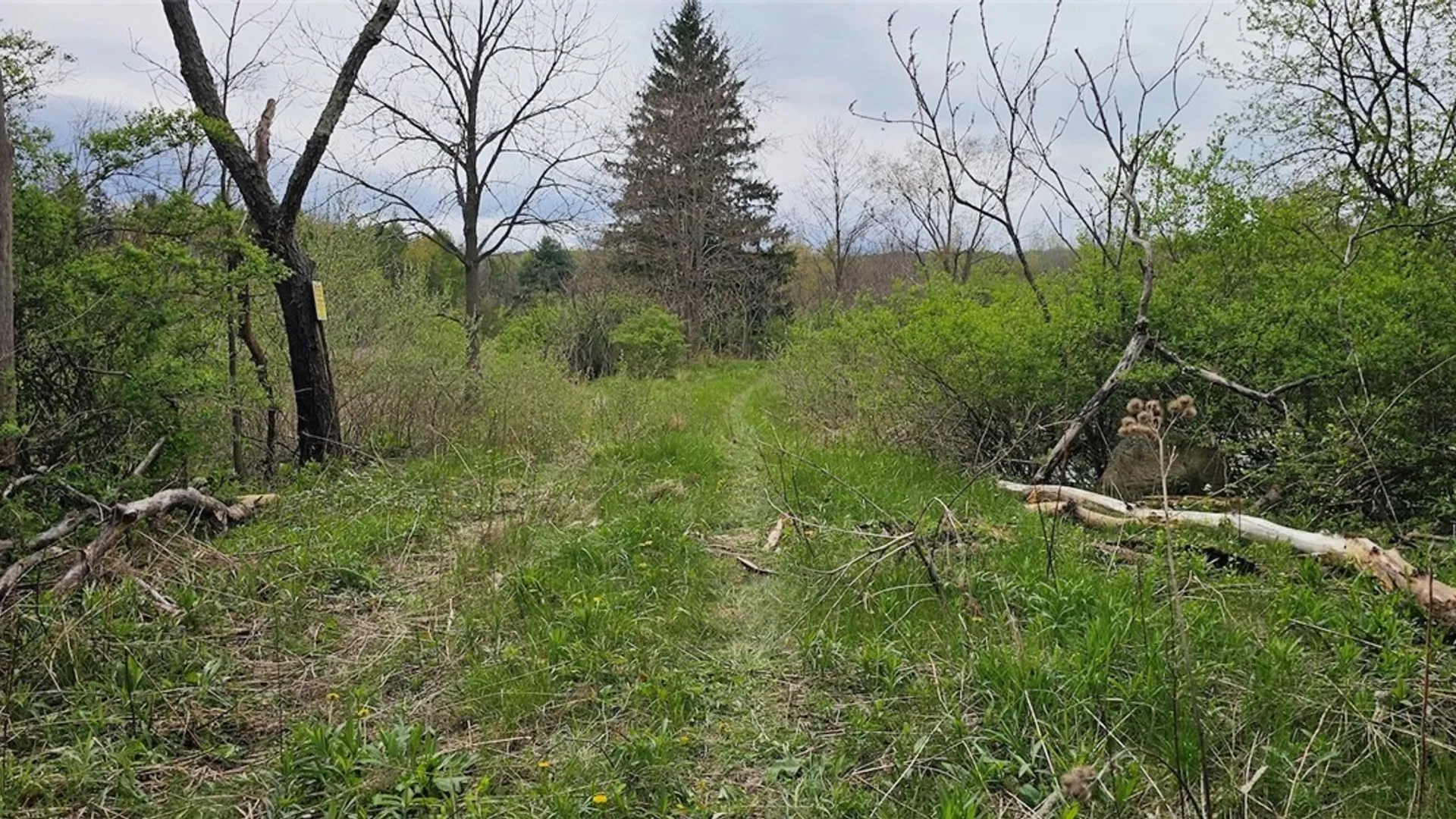 Property at Hancock Drive, Horseheads, NY 14845 3