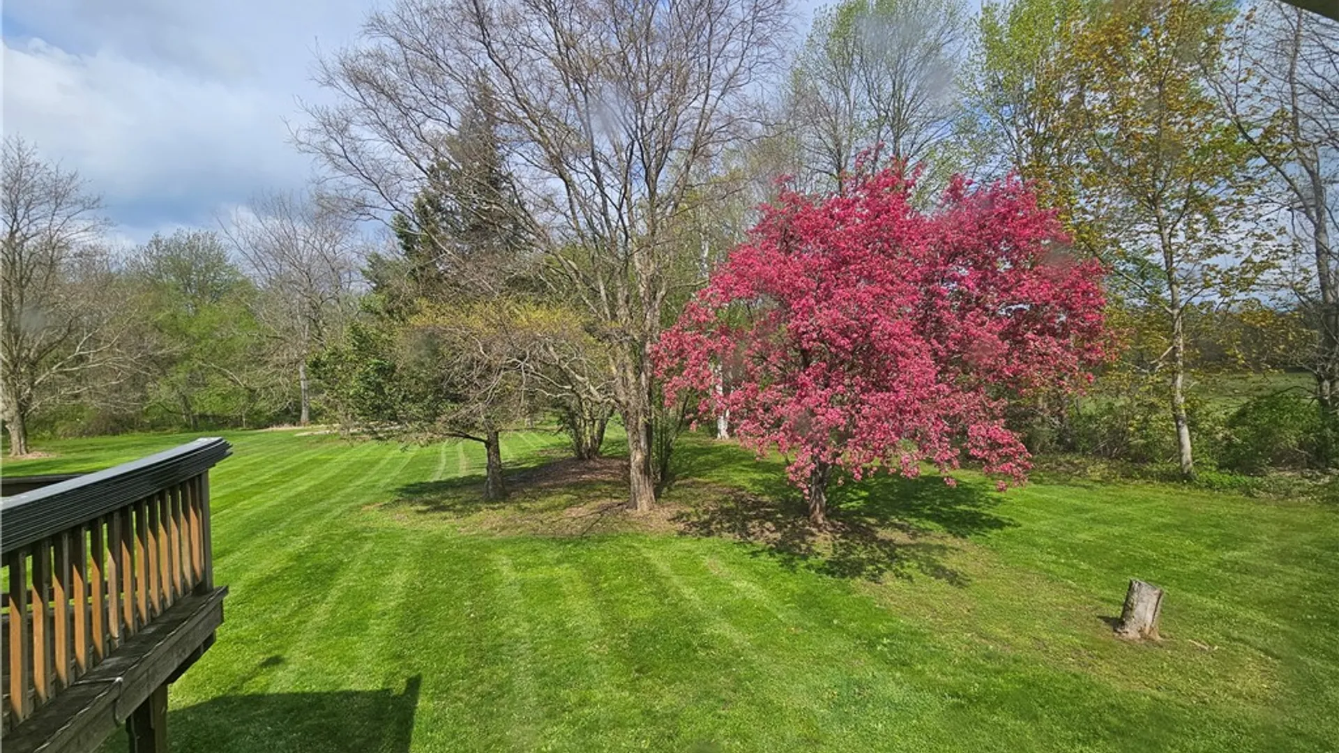 Property at 5271 State Route 14, Sodus, NY 14551 21