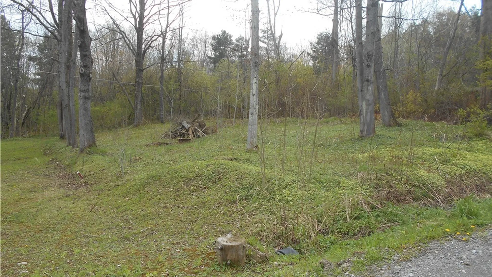Property at 21 Parkway Drive, Java, NY 14009 38
