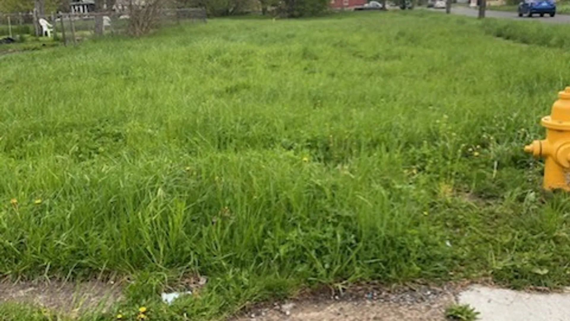 Property at 1164 Whitney Avenue, Niagara Falls, NY 14301 2