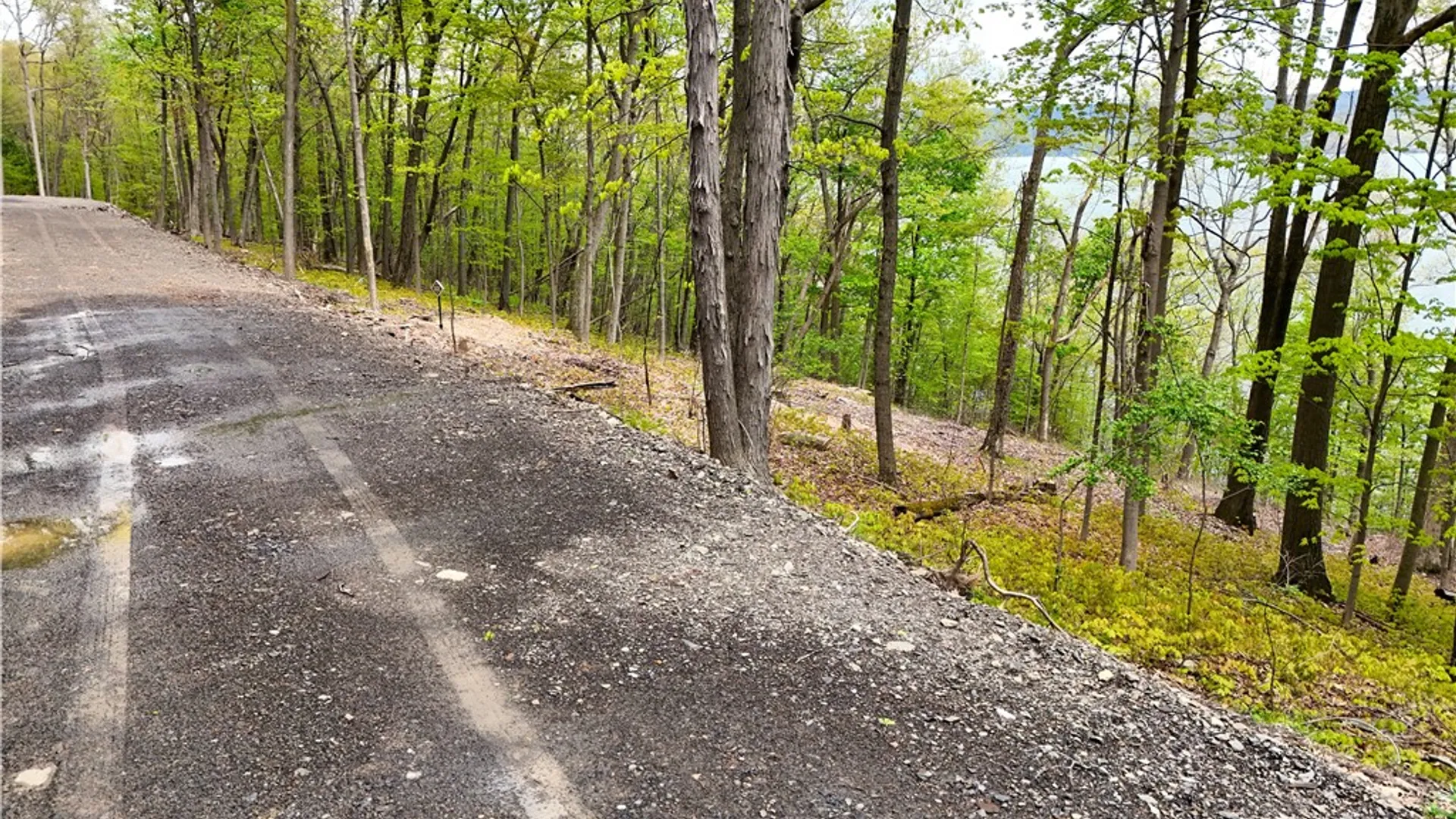 Property at 2 Nora's Way, Starkey, NY 14837 3