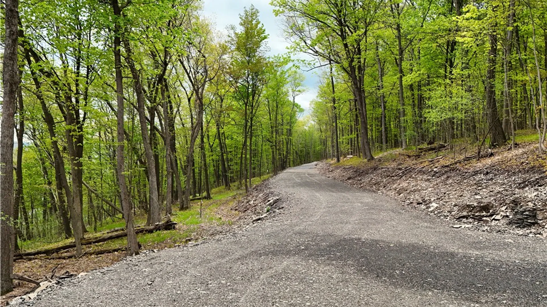 Property at 3 Nora's Way, Starkey, NY 14837 2