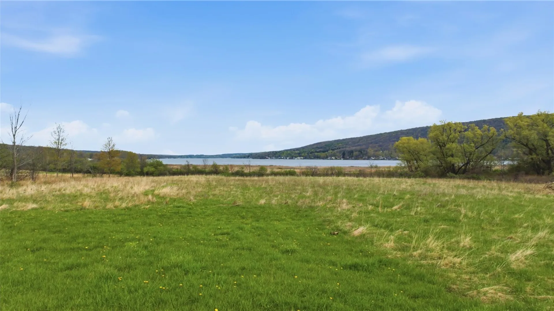 Property at 3882 24, Tyrone, NY 14887 6