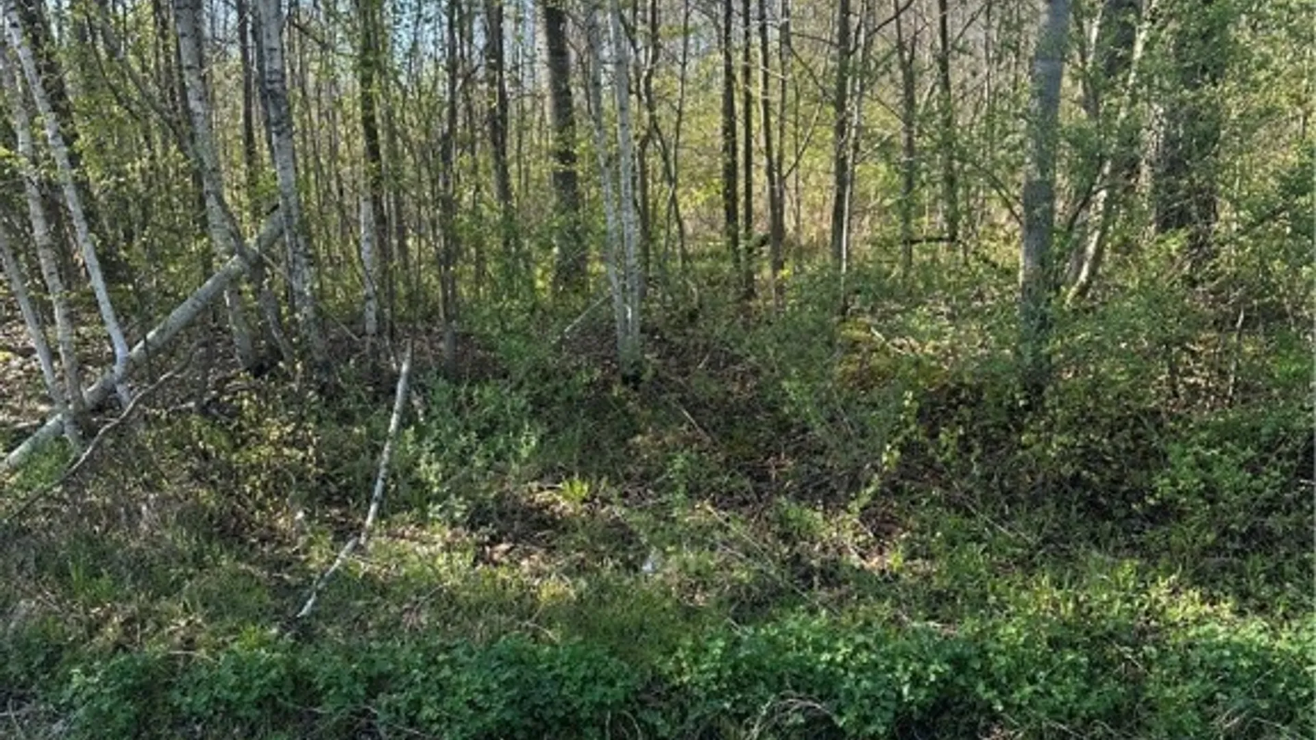 Property at Pleasant Valley Rd, Groton, NY 13073 2