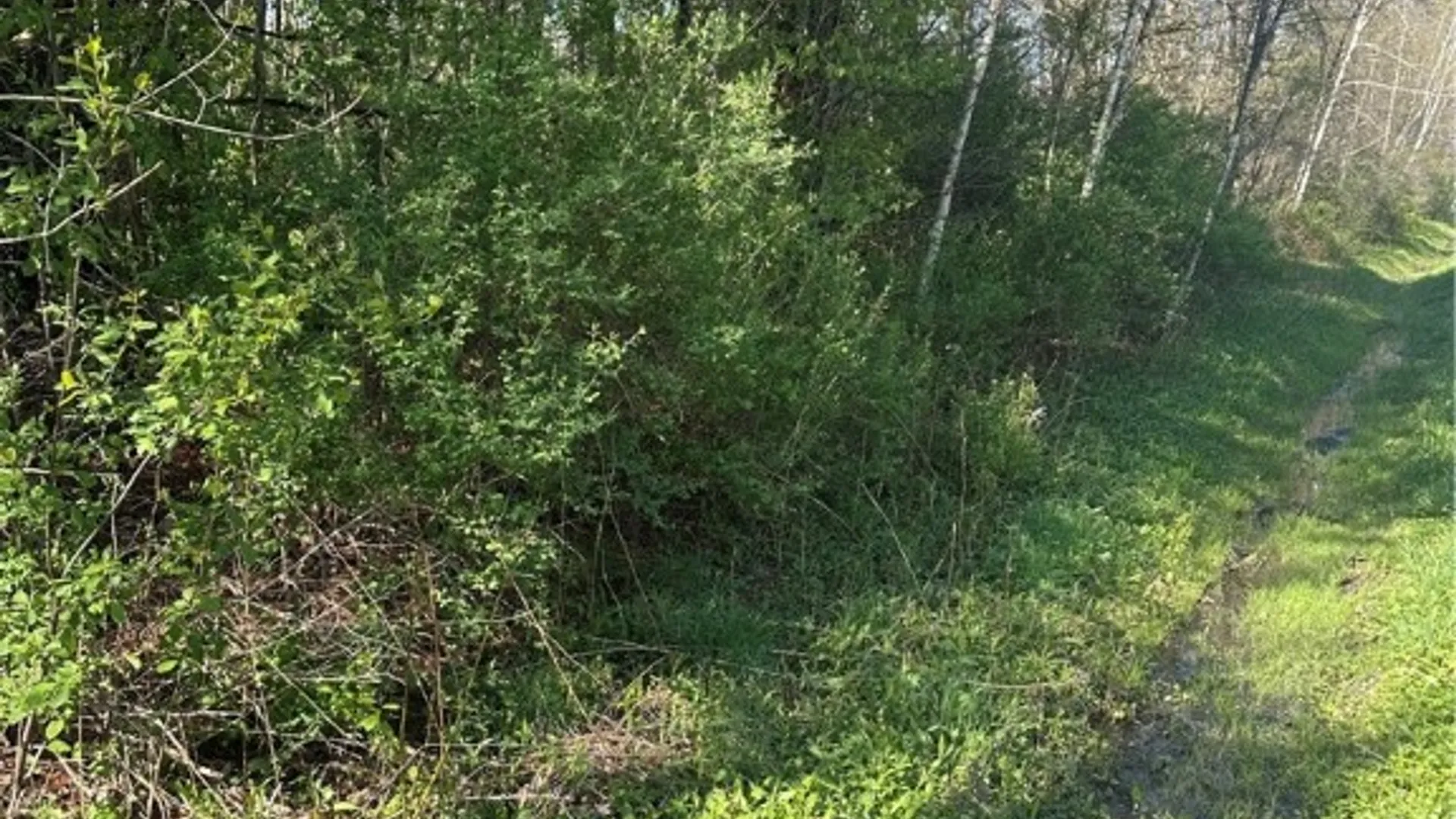 Property at Pleasant Valley Rd, Groton, NY 13073 4