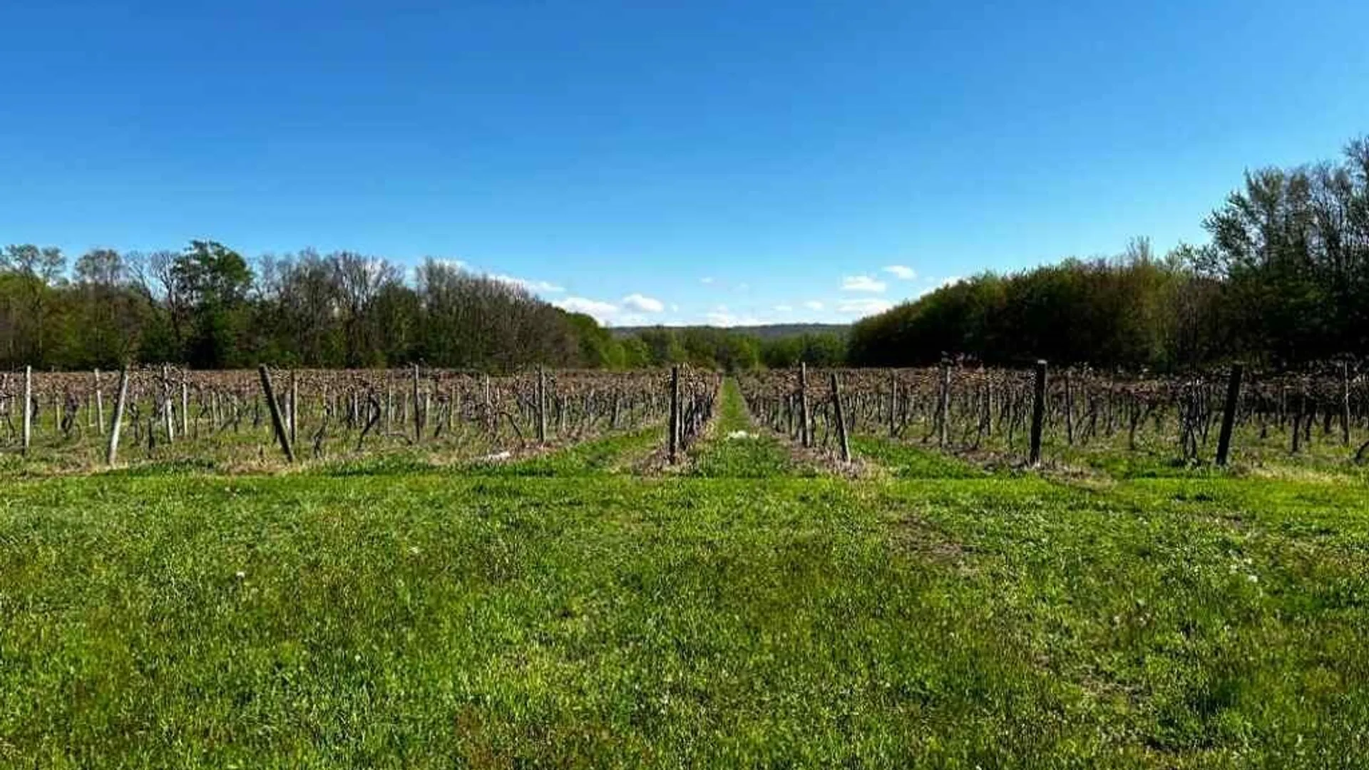 Property at 4985 Main Road, Pomfret, NY 14063 39