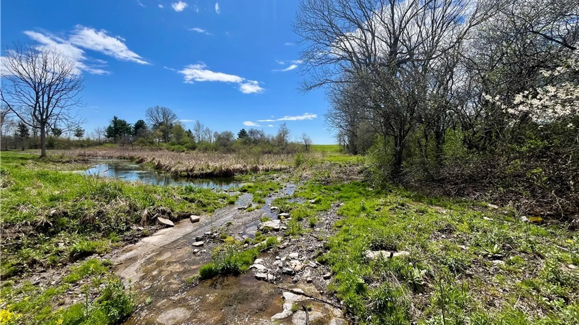 Property at County Route 5, Clayton, NY 13621 4