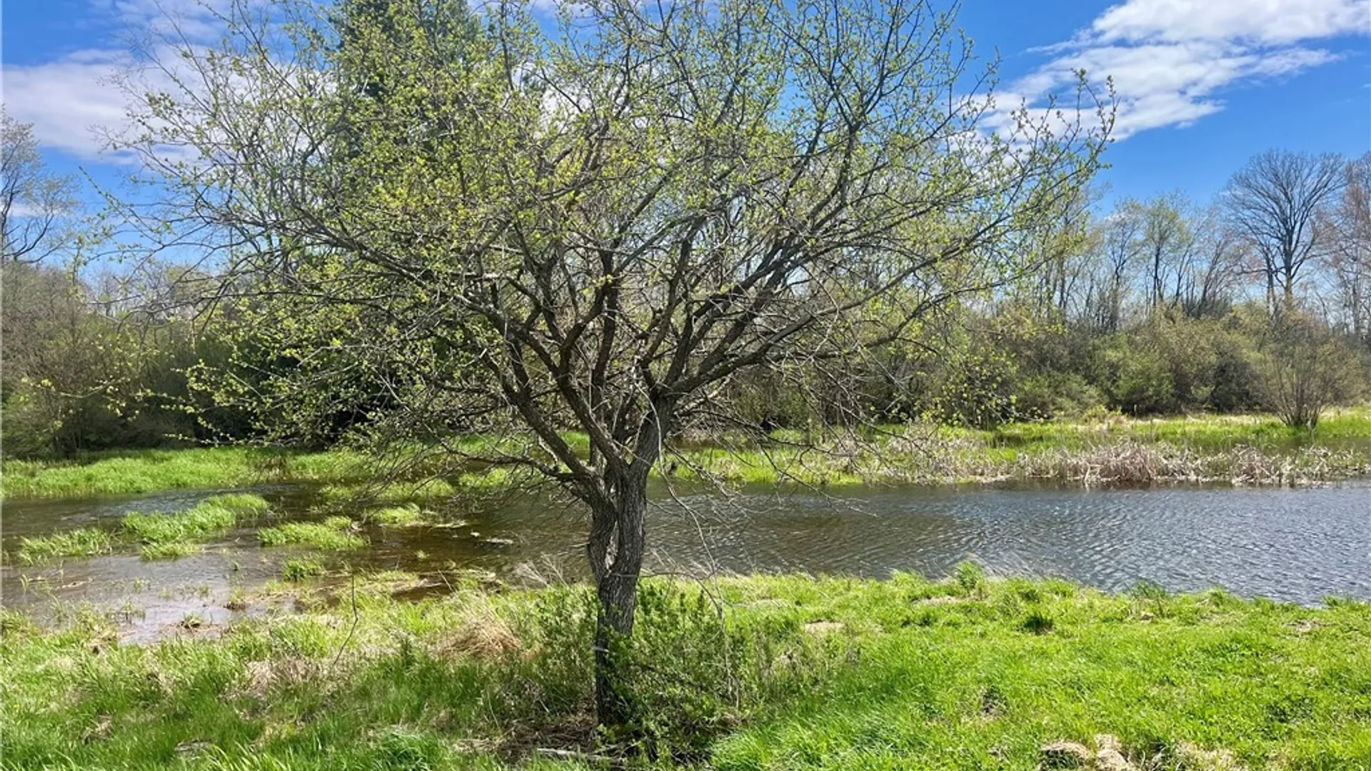 Property at County Route 5, Clayton, NY 13621 8