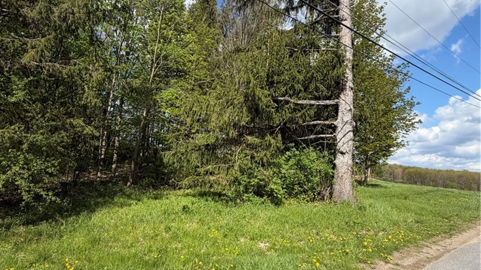 Property at Emery Road, Volney, NY 13069 5