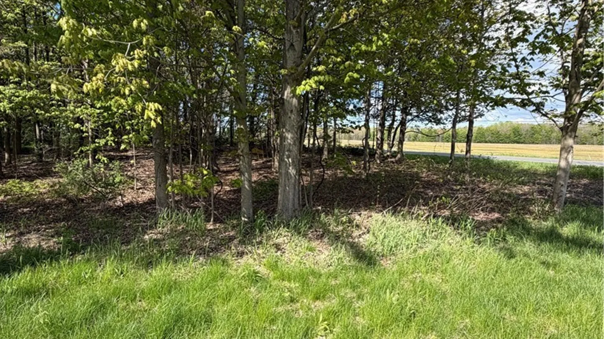 Property at Emery Road, Volney, NY 13069 7