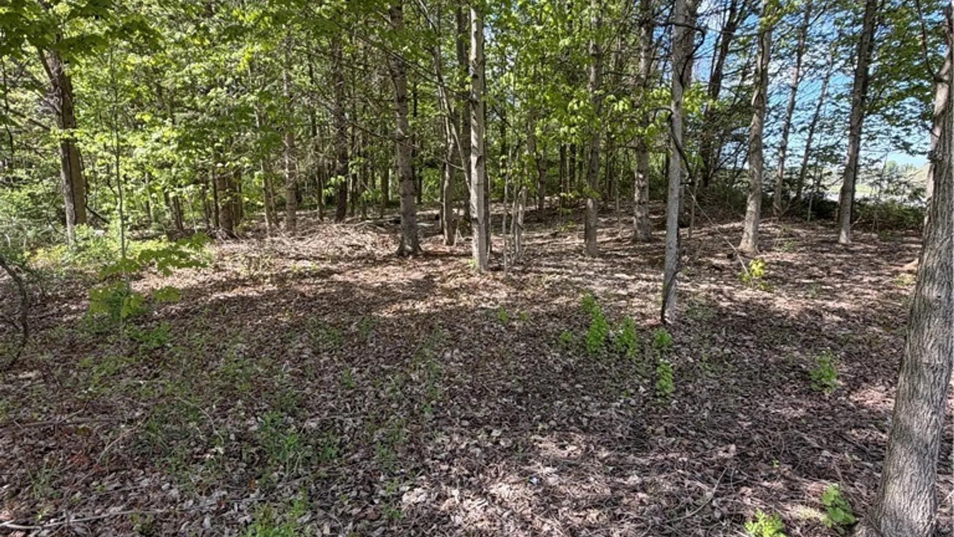 Property at Emery Road, Volney, NY 13069 8