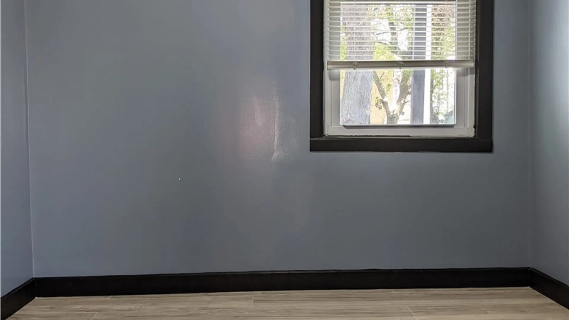 Property at 759 S Ogden Street, Buffalo, NY 14206 13