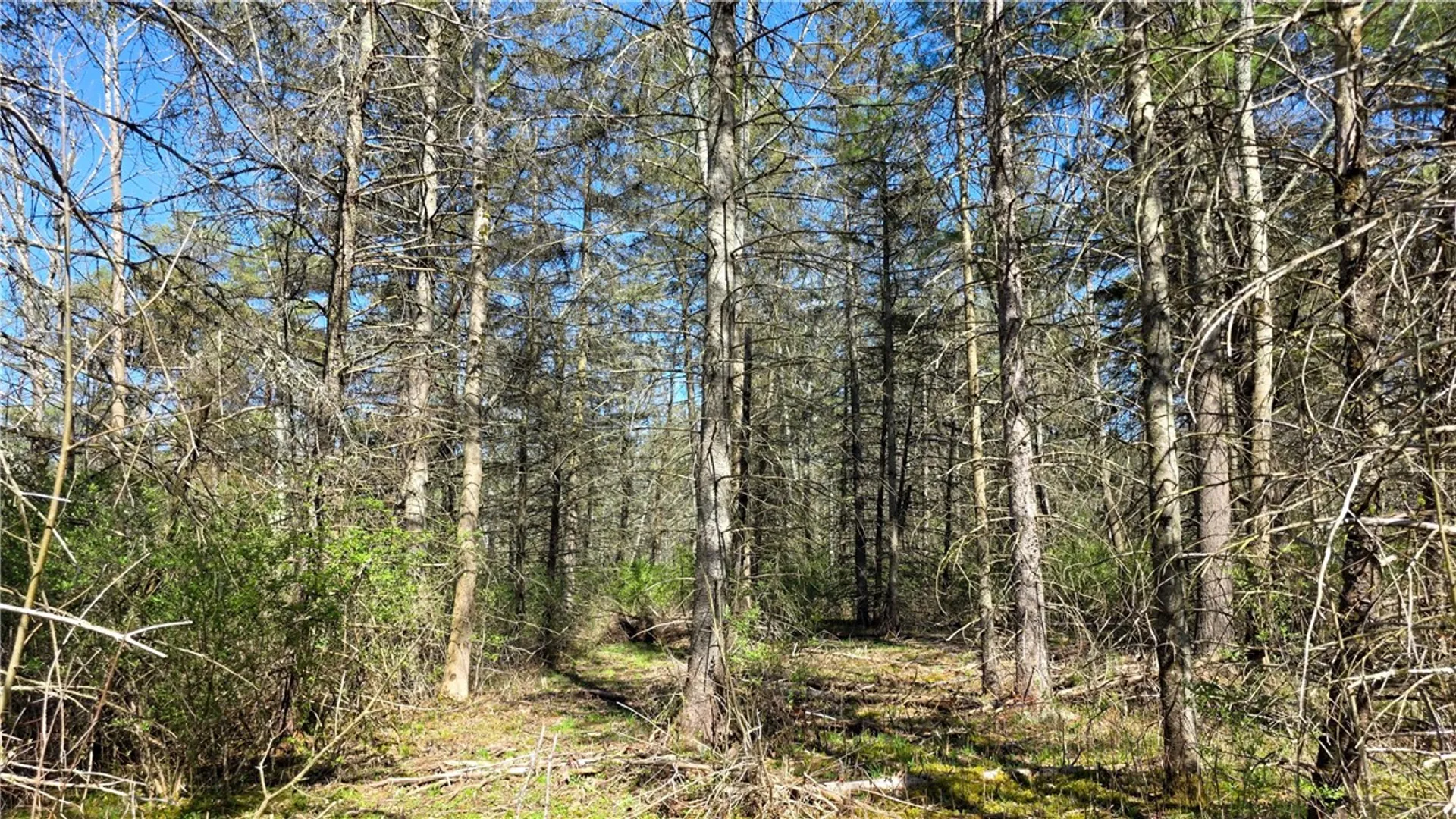 Property at Snyder Hill Road, Dryden, NY 14850 3