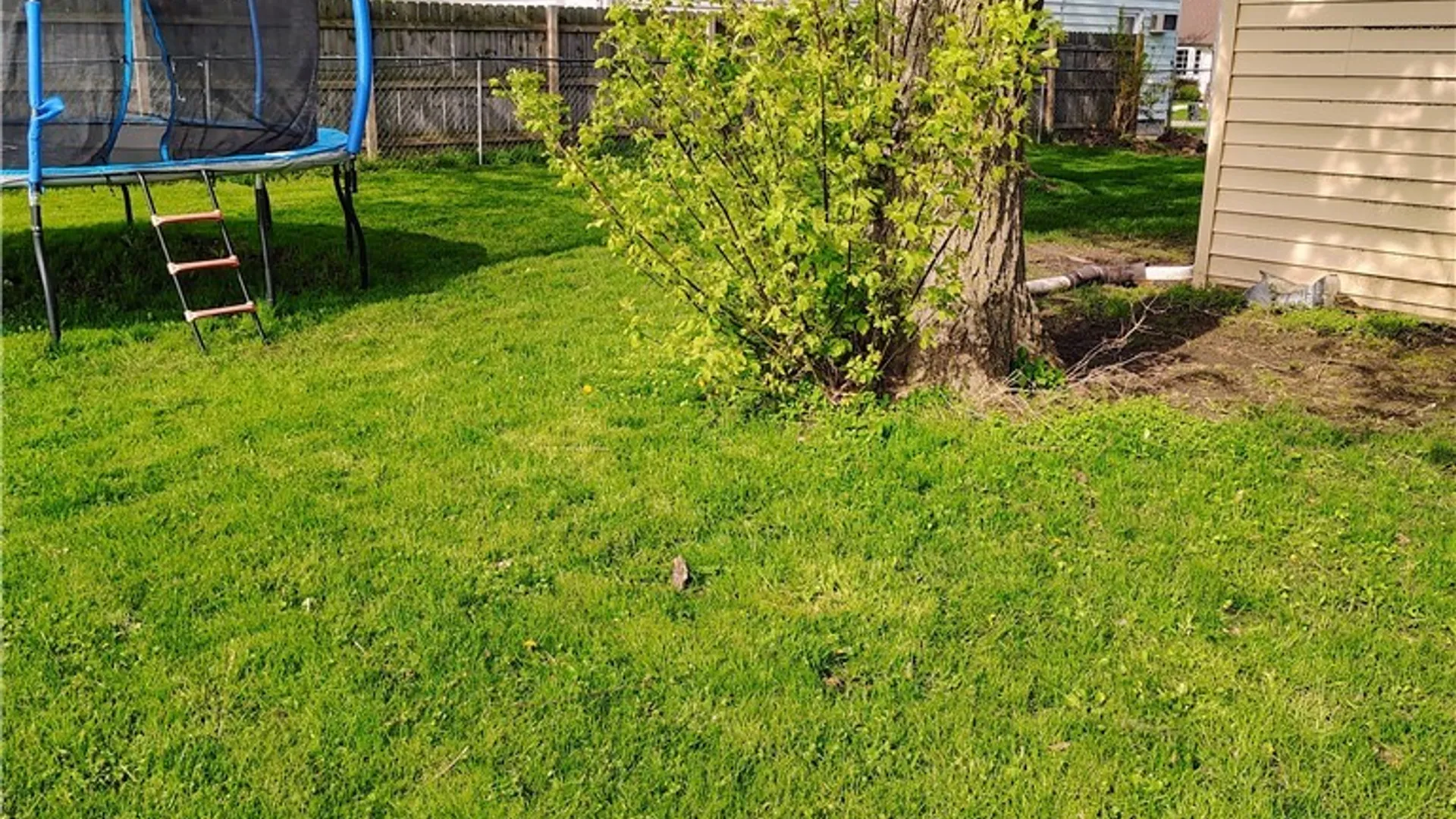 Property at 57 Elaine Court, Cheektowaga, NY 14225 5