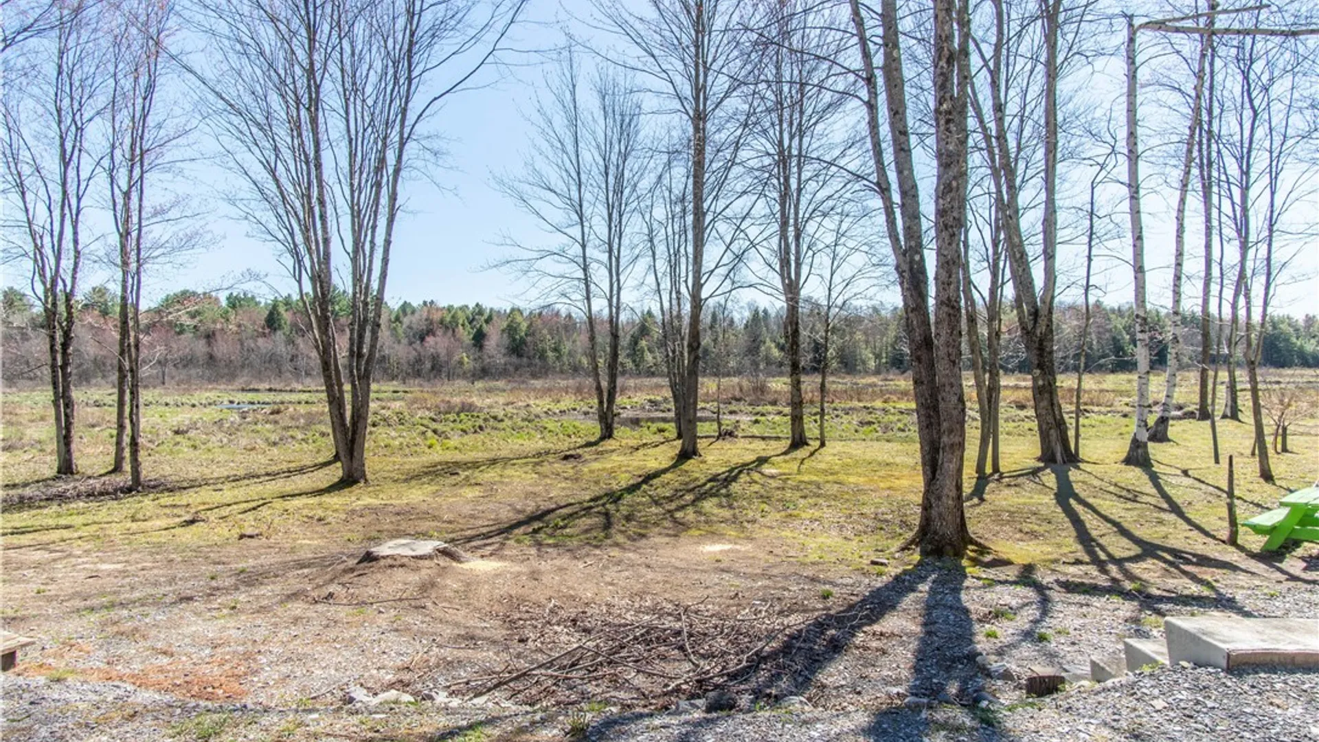 Property at 3976 Factory Road, Diana, NY 13665 19